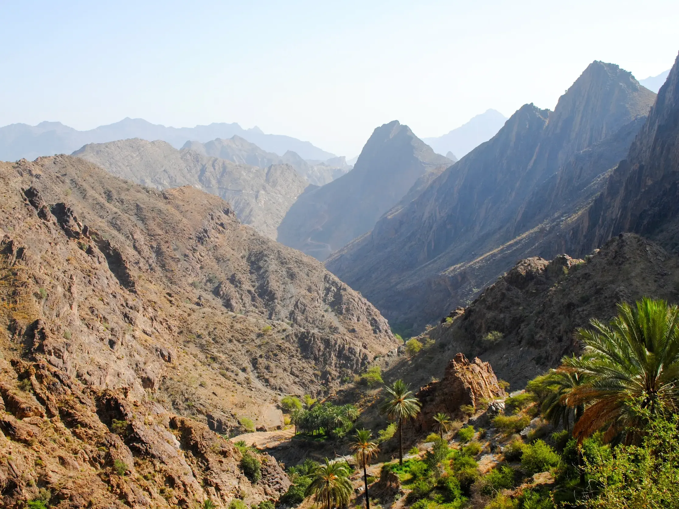 Panoramablick über das zerklüftete Hadschar-Gebirge im Oman mit grünen Palmen im tiefen Tal des Wadi Sahtan.