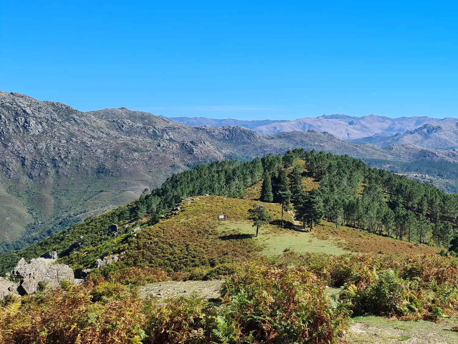 Sonnige Weitsicht beim Wandern über bewaldete Hügel und die Bergkette im Nationalpark Peneda-Gerês in Portugal.