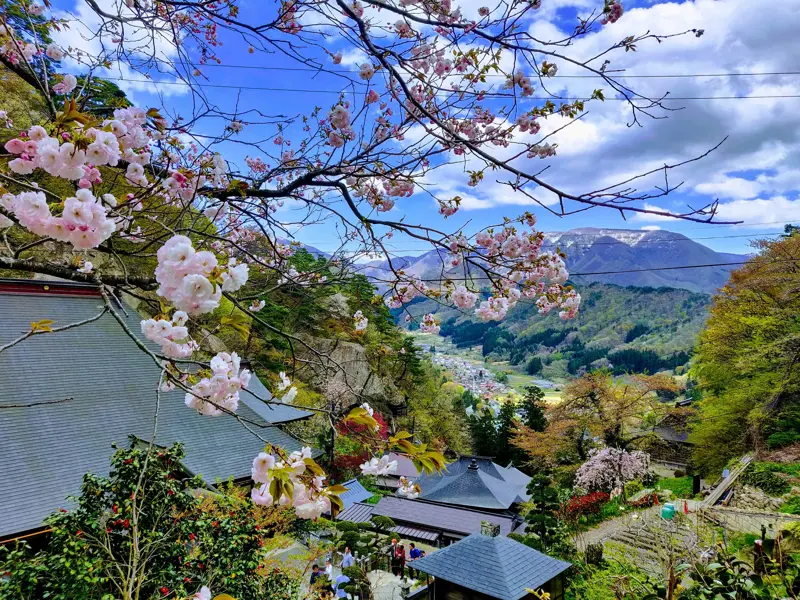 Nach dem Aufstieg zum Yamadera Tempel belohnt der Blick über rosa Kirschblüten auf ein grünes Tal und die Berglandschaft.