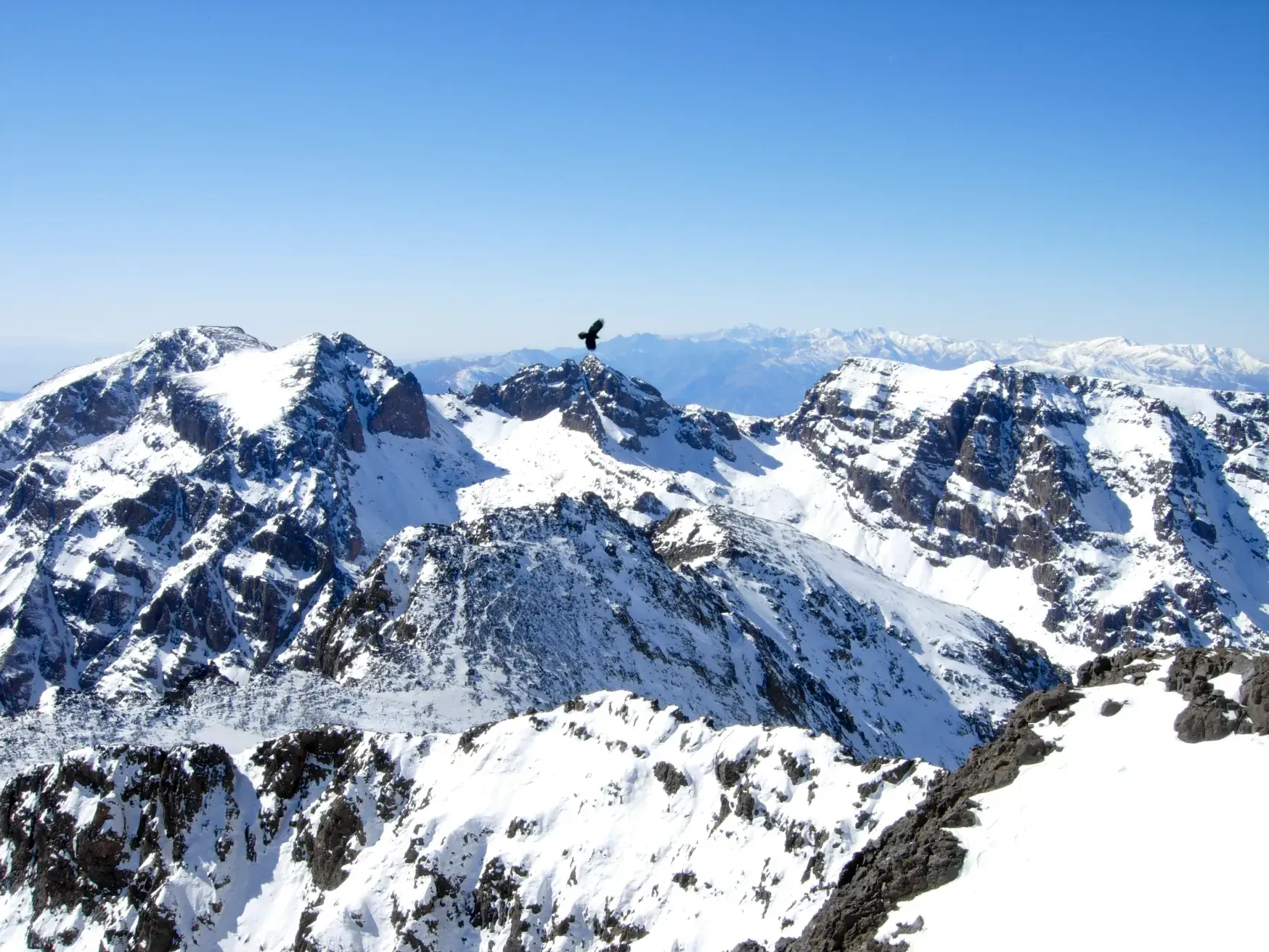 Panoramablick über die schneebedeckten Gipfel des Hohen Atlas in Marokko, ein Vogel fliegt am klaren, blauen Himmel.