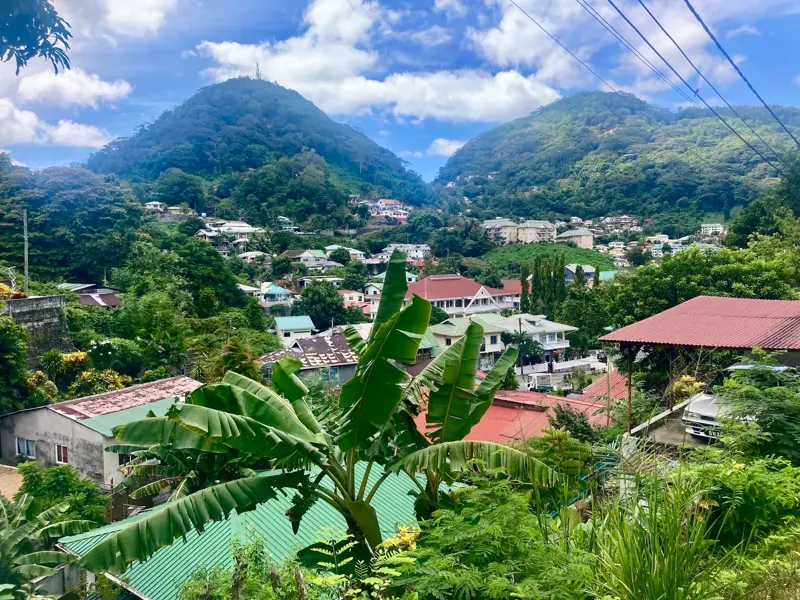 Wanderung auf Mahé: Blick über tropische Vegetation und bunte Dächer auf die dicht bewaldeten Hügel der Seychellen.