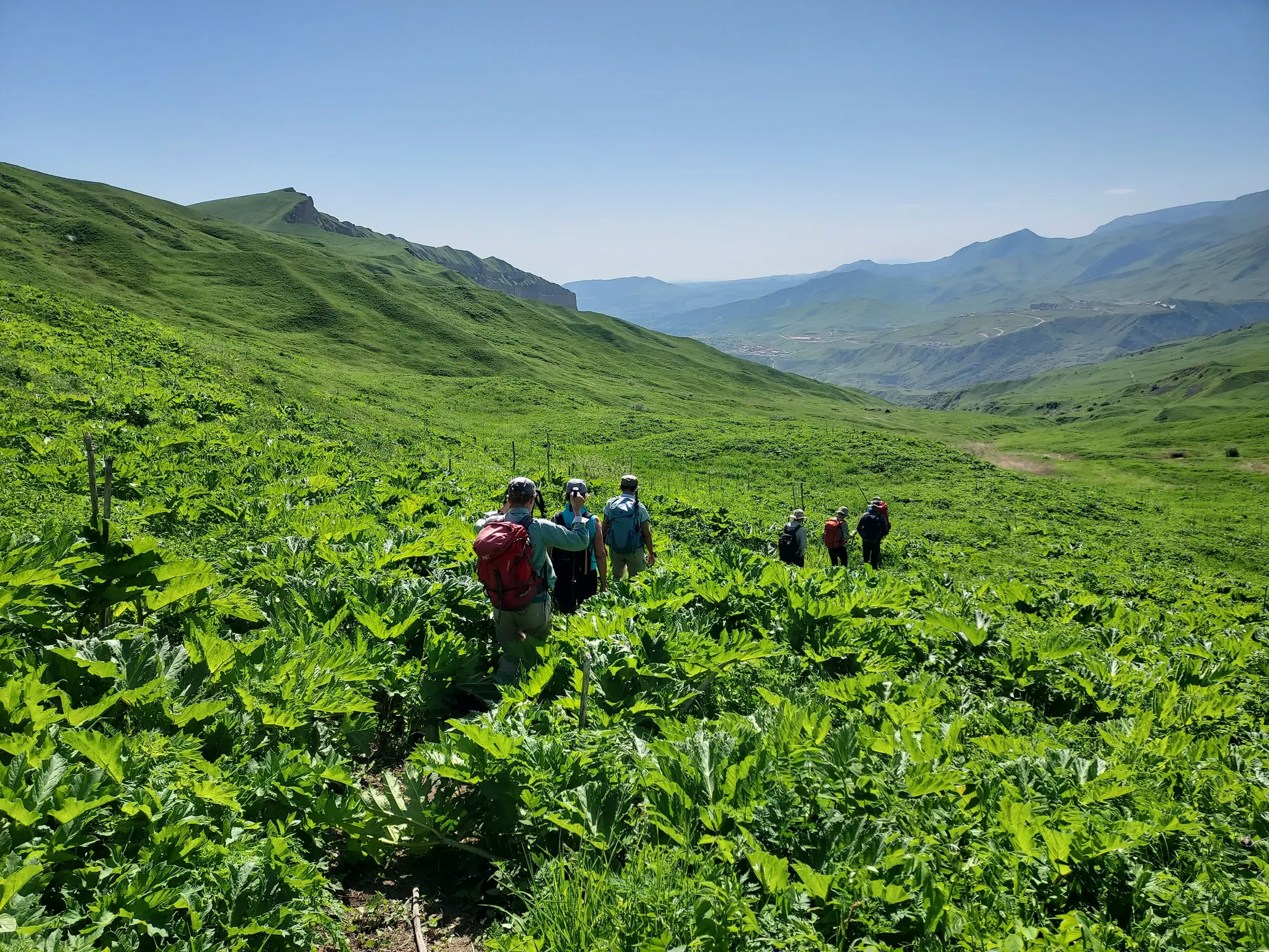 Eine Hauser-Trekkinggruppe wandert auf einem Pfad durch die sattgrünen Hänge im Großen Kaukasus in Aserbaidschan.