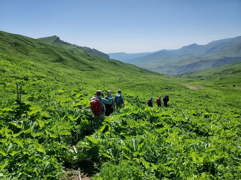 Eine Hauser-Trekkinggruppe wandert auf einem Pfad durch die sattgrünen Hänge im Großen Kaukasus in Aserbaidschan.