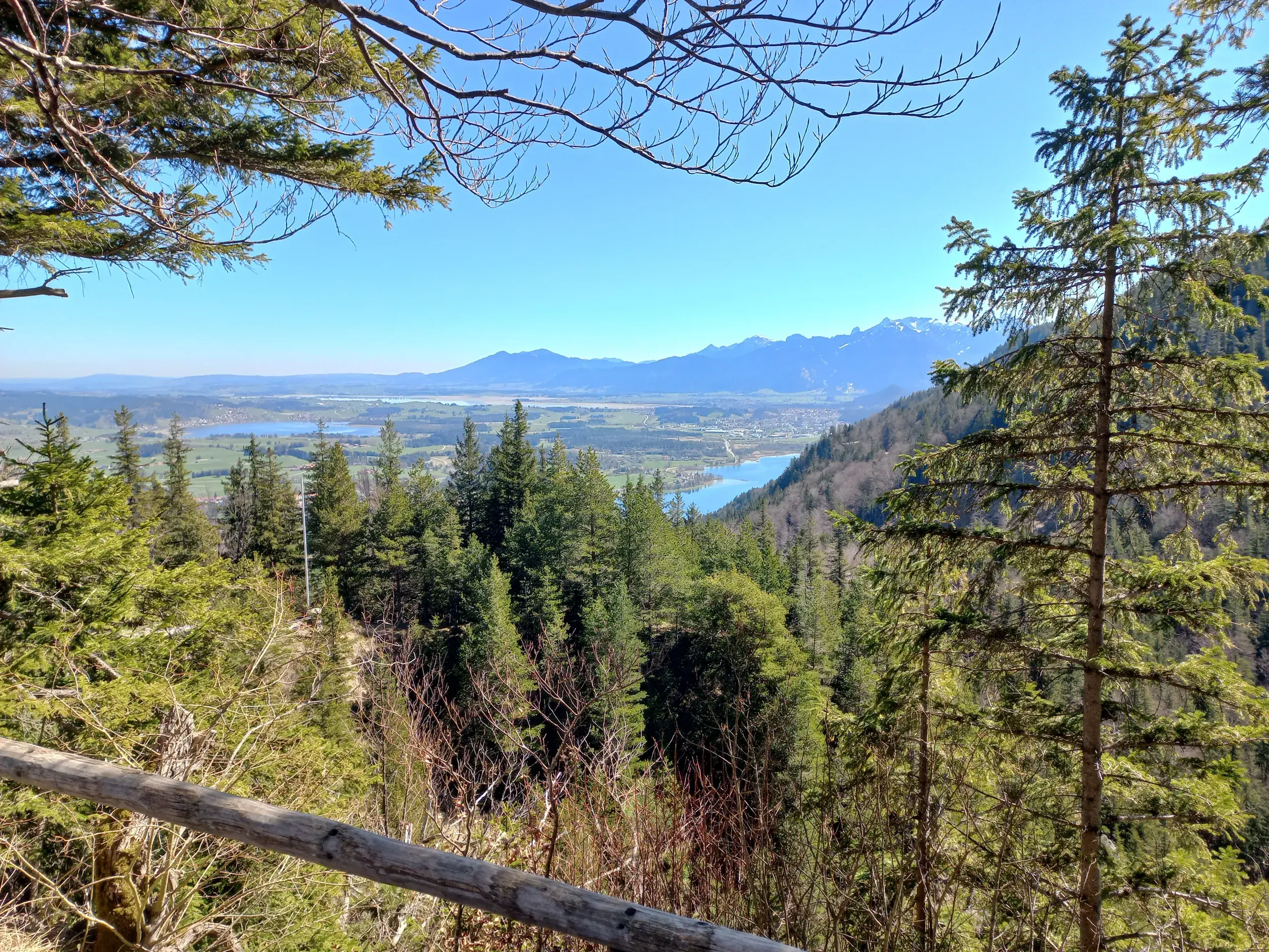 Panoramablick beim Wandern im Ostallgäu: Weitsicht über die Seenlandschaft bei Füssen bis zu den Alpengipfeln.