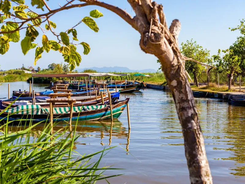 Traditionelle Holzboote mit Sonnendach liegen in einem Kanal der Lagune L'Albufera bei Valencia vor grüner Uferlandschaft.
