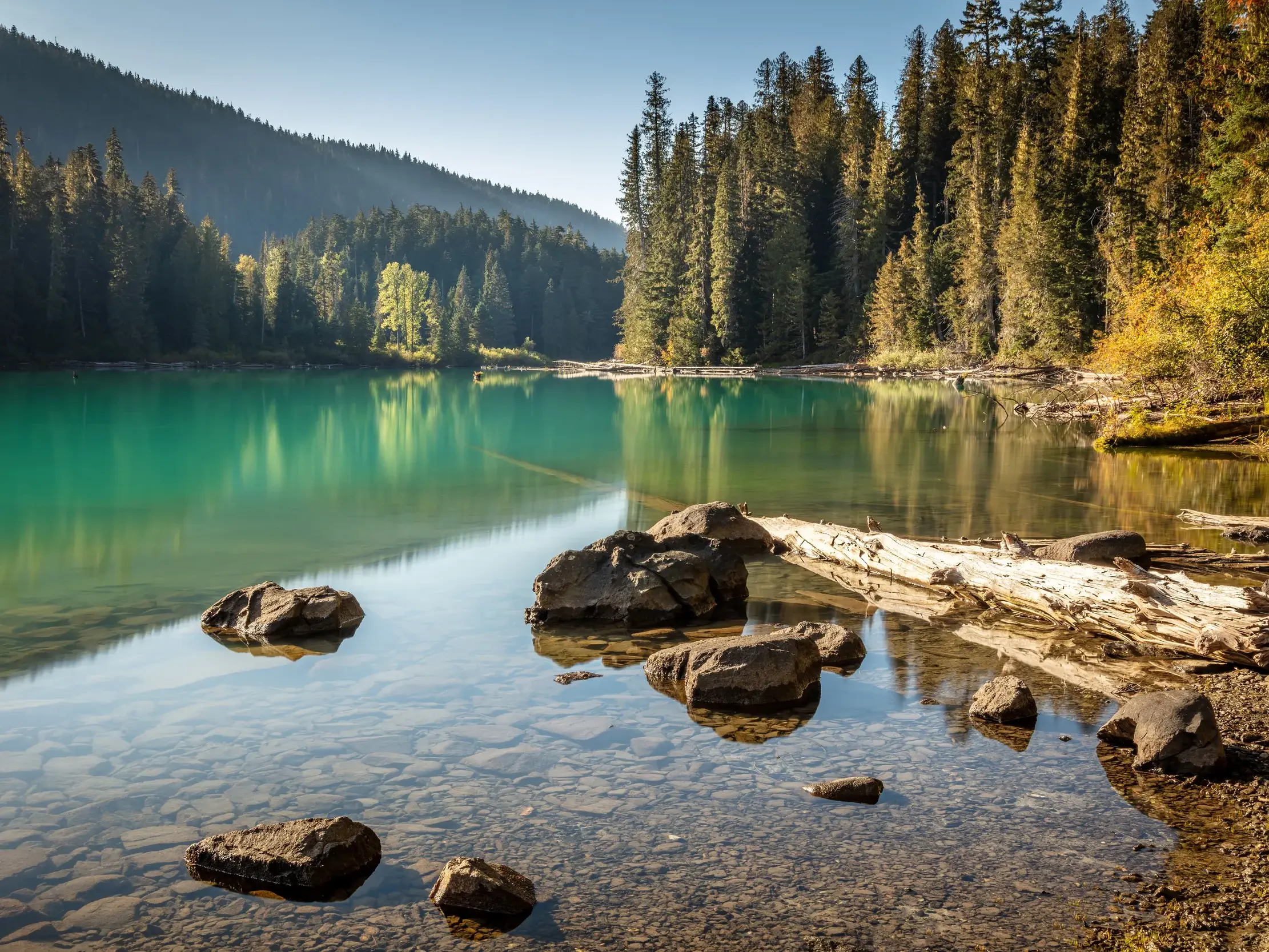 Ruhiger, türkisfarbener Cheakamus Lake im Garibaldi Park, dessen klares Wasser Steine am Ufer vor Nadelwäldern zeigt.
