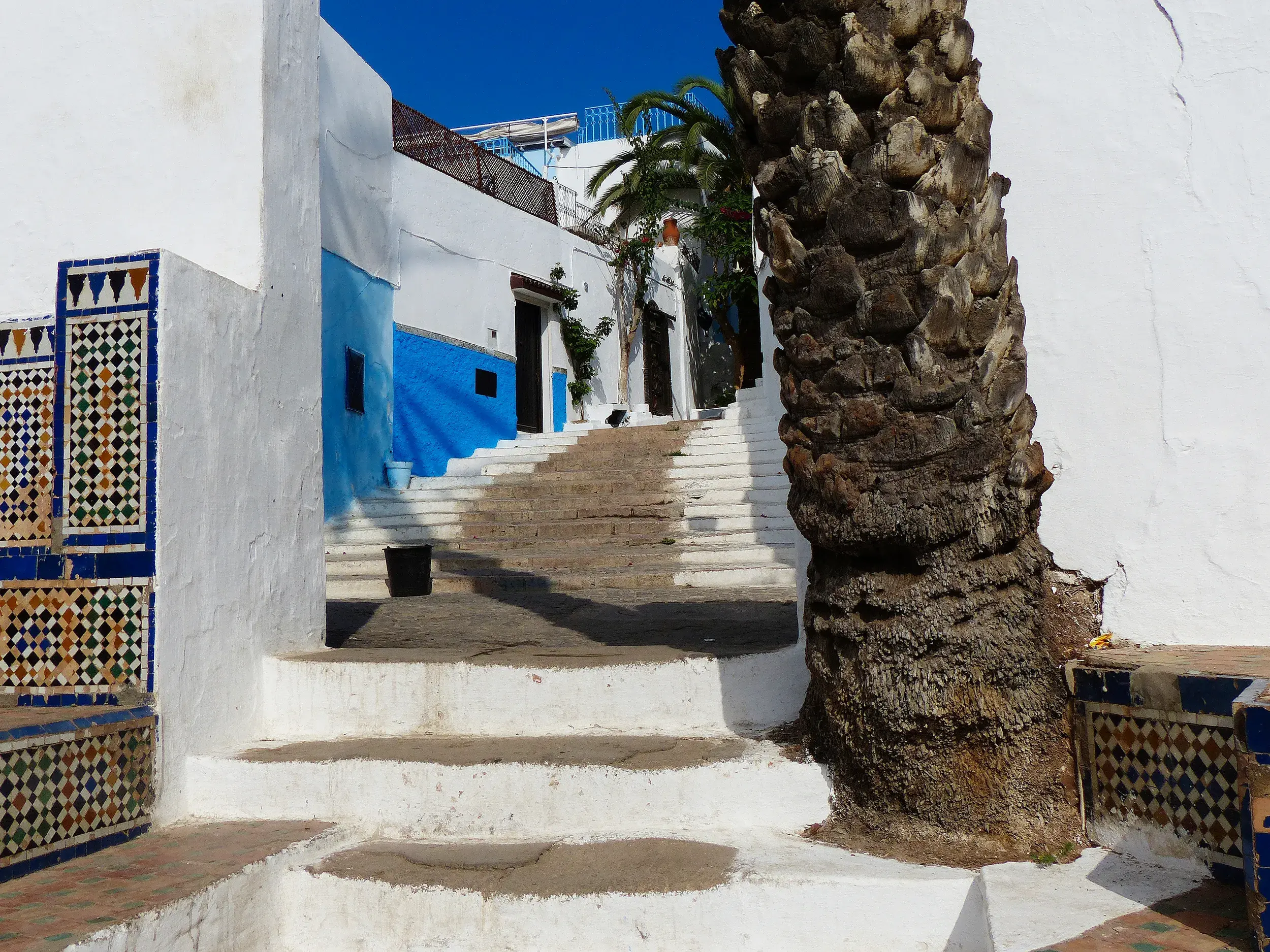 Eine malerische Gasse mit Treppenstufen führt durch die blau-weiße Kasbah des Oudaias in der Königsstadt Rabat in Marokko.