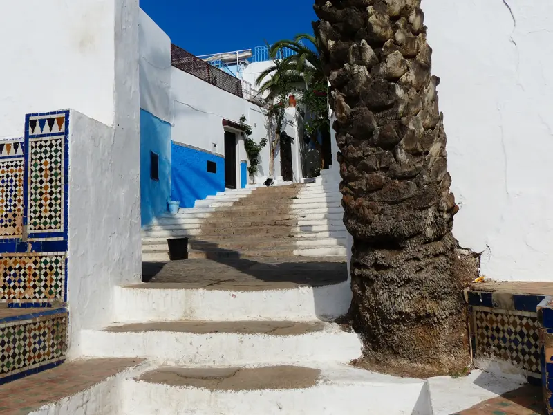 Eine malerische Gasse mit Treppenstufen führt durch die blau-weiße Kasbah des Oudaias in der Königsstadt Rabat in Marokko.