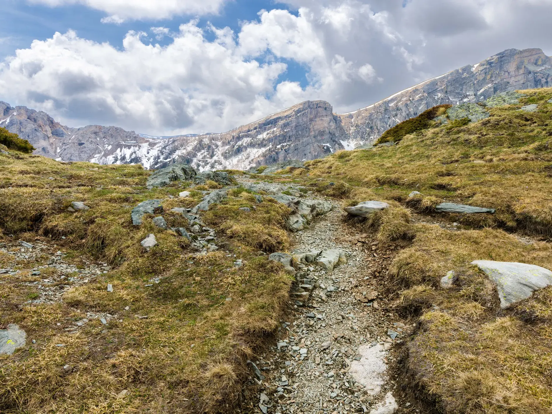 Ein steiniger Wanderweg führt beim Trekking durch eine alpine Wiesenlandschaft mit Blick auf die schneebedeckten Gipfel der Seealpen.