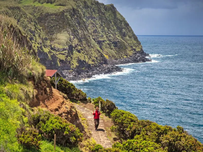 Person auf einer Wanderreise auf dem Maultierpfad entlang der Steilküste von Rocha da Relva auf Sao Miguel, Azoren.