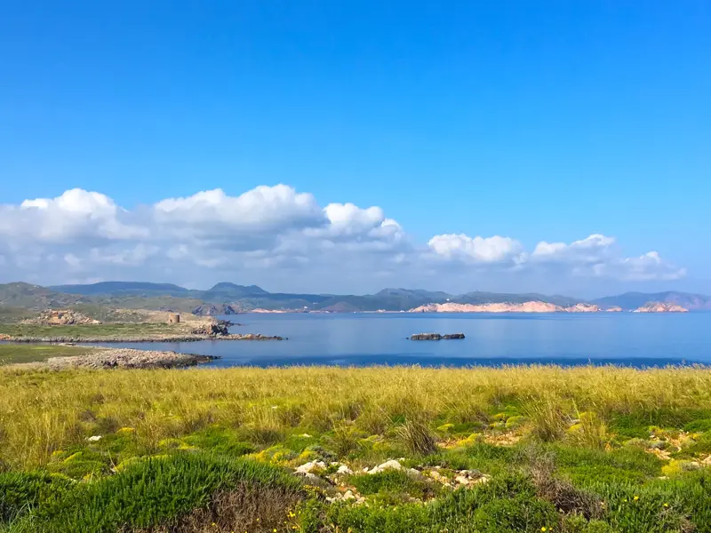 Blick von einer Wiese am Wanderweg Camí de Cavalls auf die zerklüftete Küste Menorcas mit einer Turmruine am blauen Meer.