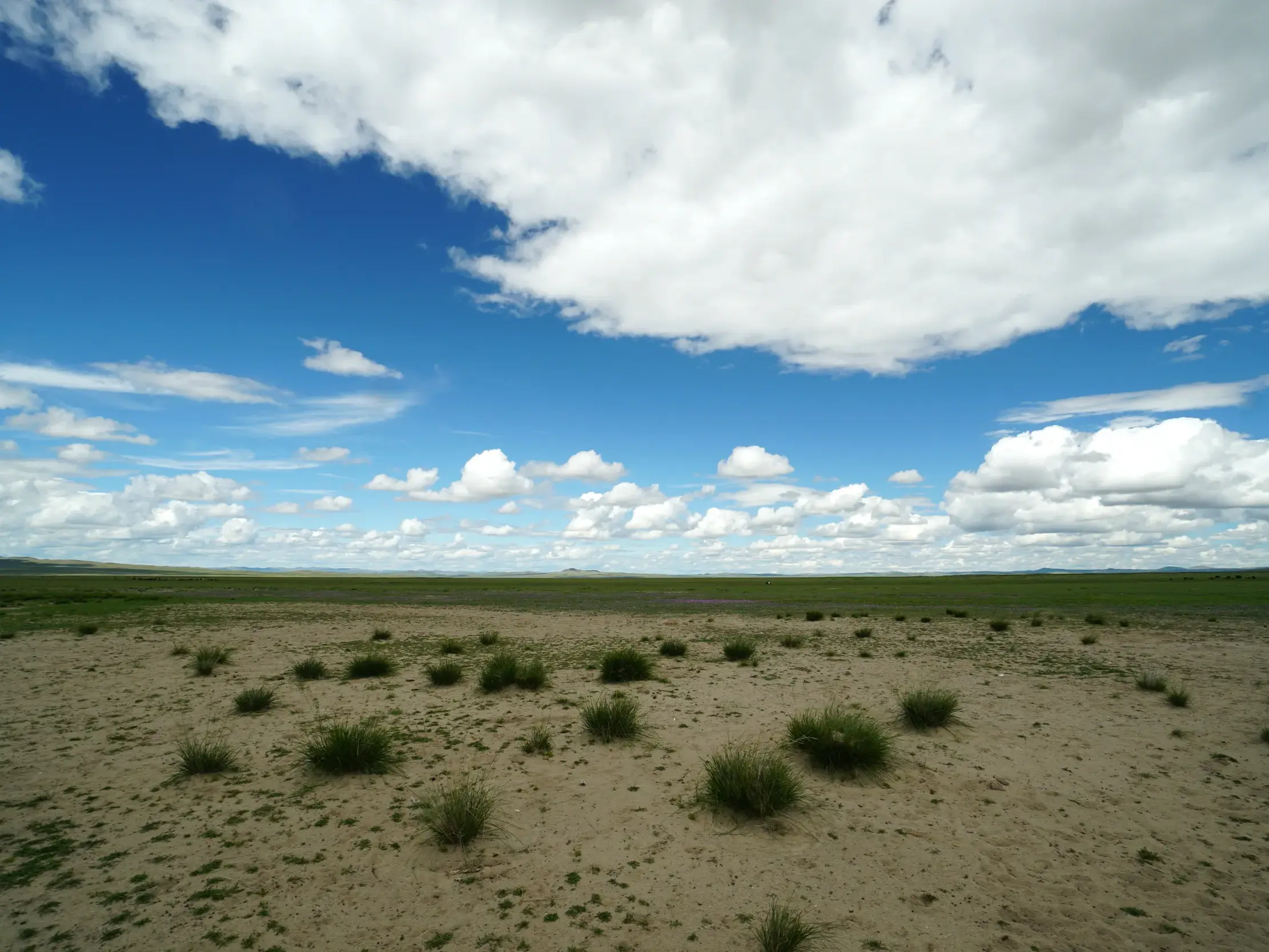 Endlose mongolische Steppe mit sandigem Vordergrund und grünem Horizont bei einer Trekkingreise unter blauem Wolkenhimmel.