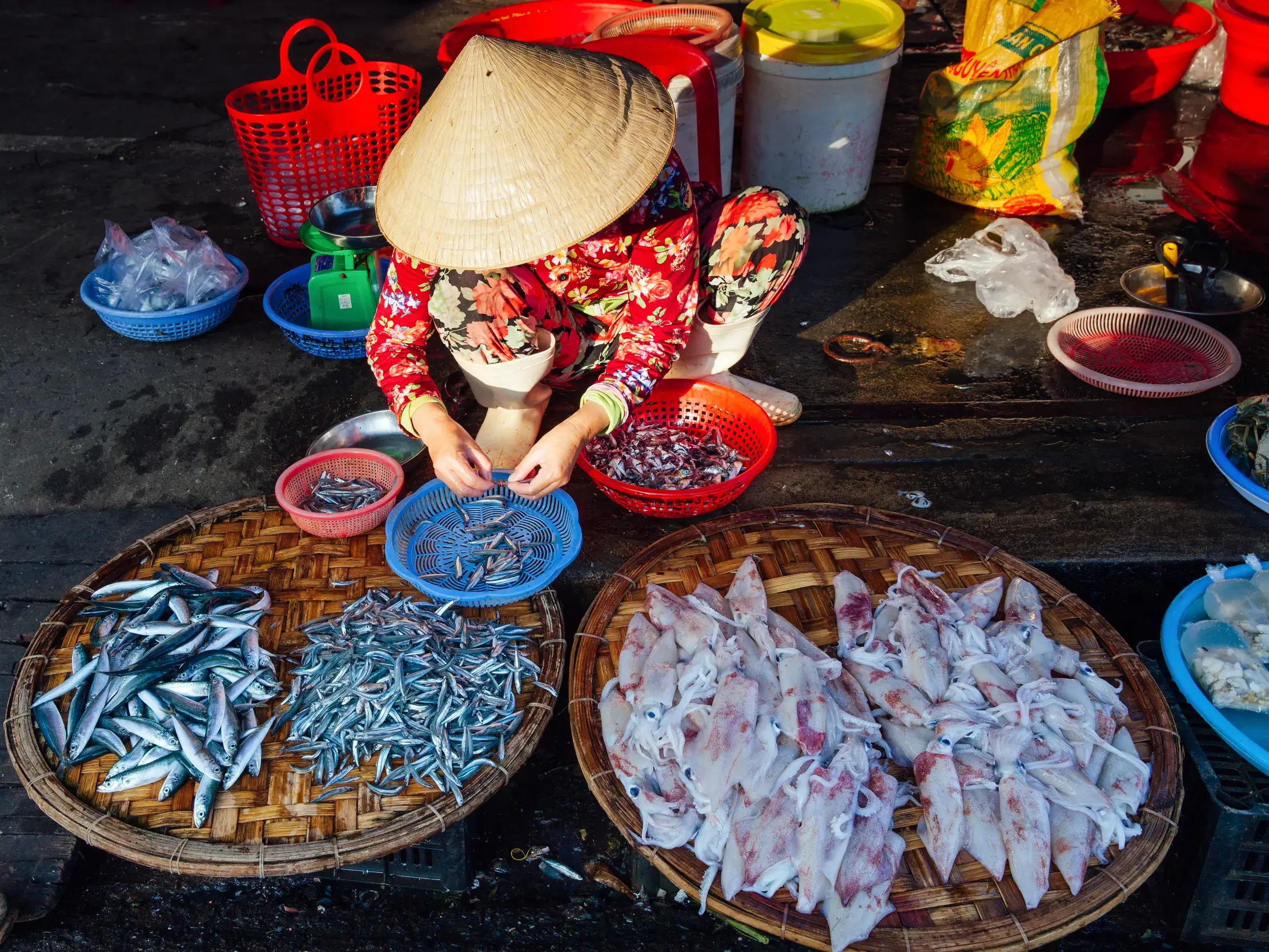 Vietnamesische Händlerin mit Kegelhut sortiert auf dem Dong-Ba-Markt in Hue Fische und Tintenfische in Weidenkörben.