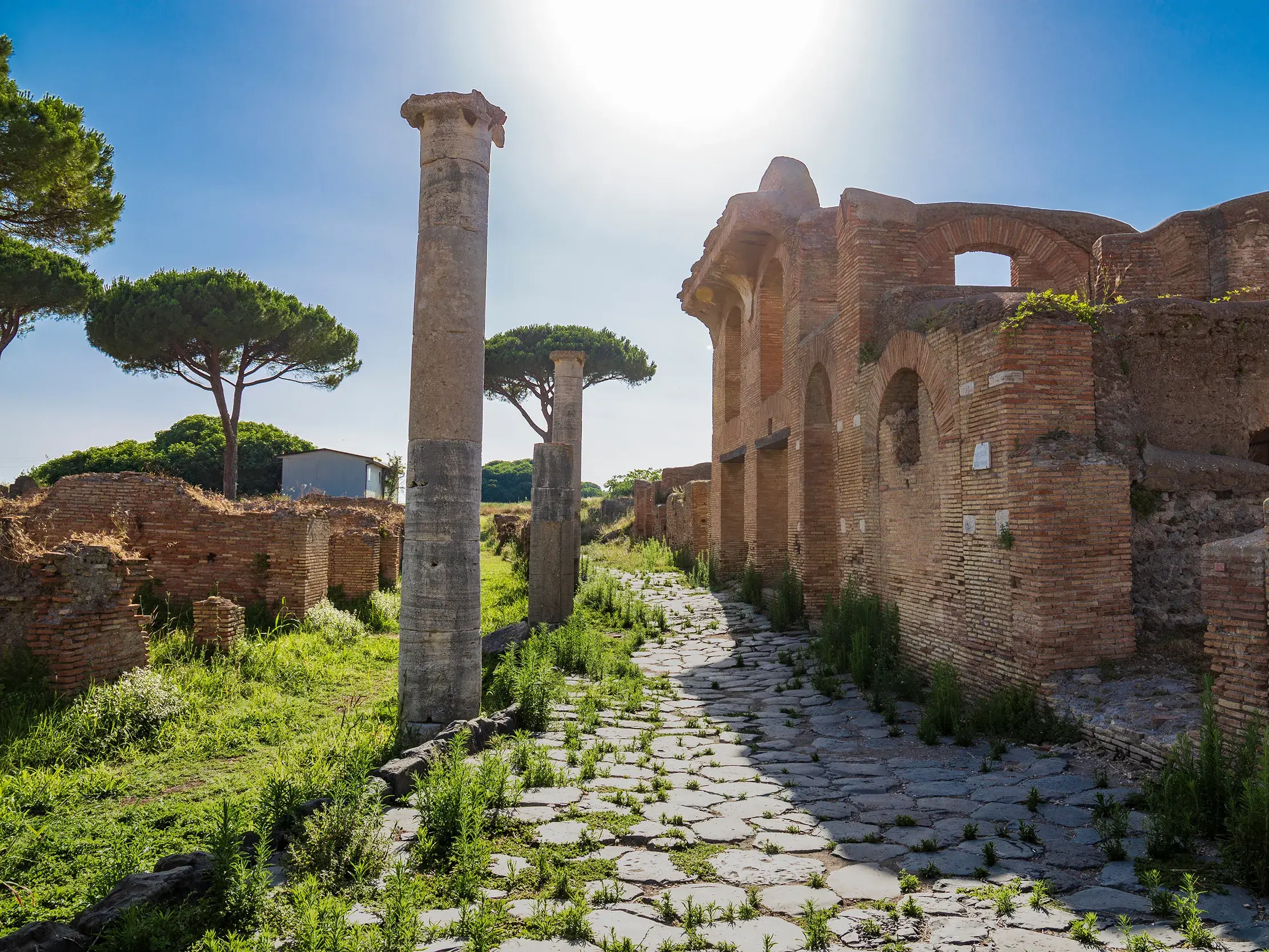 Eine antike Römerstraße mit Kopfsteinpflaster führt durch die Ruinen der Hafenstadt Ostia Antica, gesäumt von Säulen und Pinien.