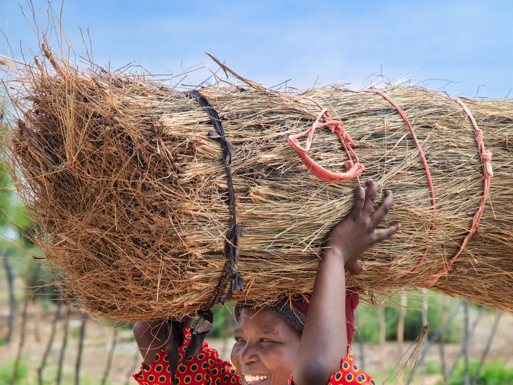 Eine Frau balanciert in Botswana ein großes Bündel getrocknetes Gras für den traditionellen Hüttenbau.