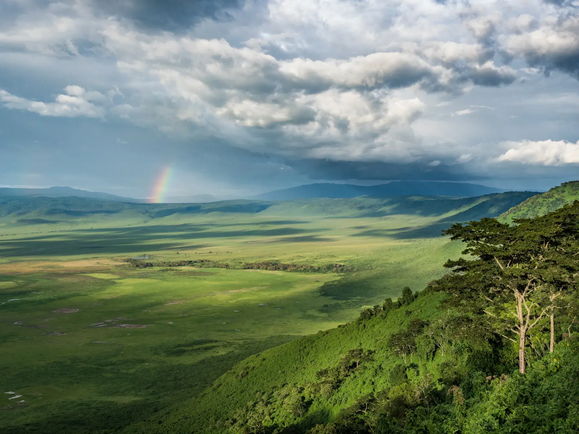 Blick vom bewaldeten Kraterrand in die sonnenbeschienene, grüne Ebene des Ngorongoro-Kraters mit Regenbogen am Horizont.