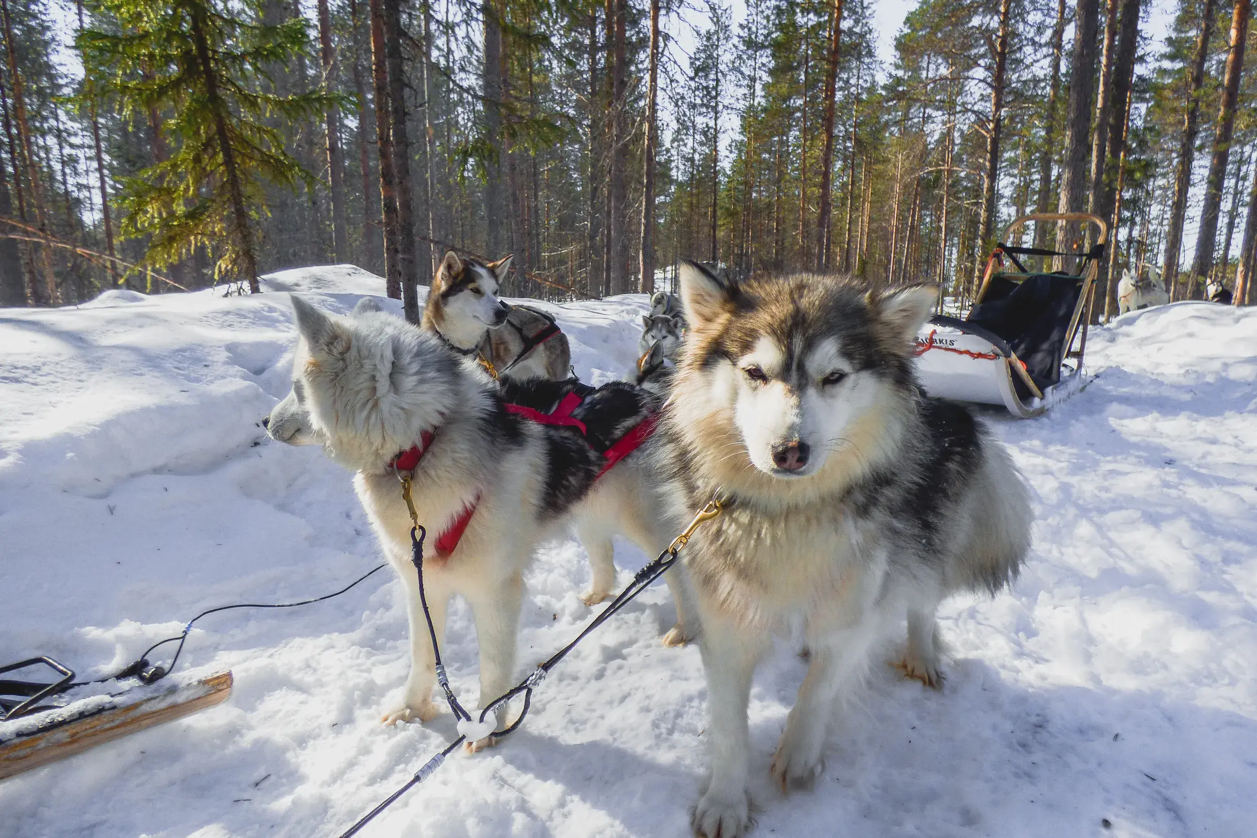Finnland