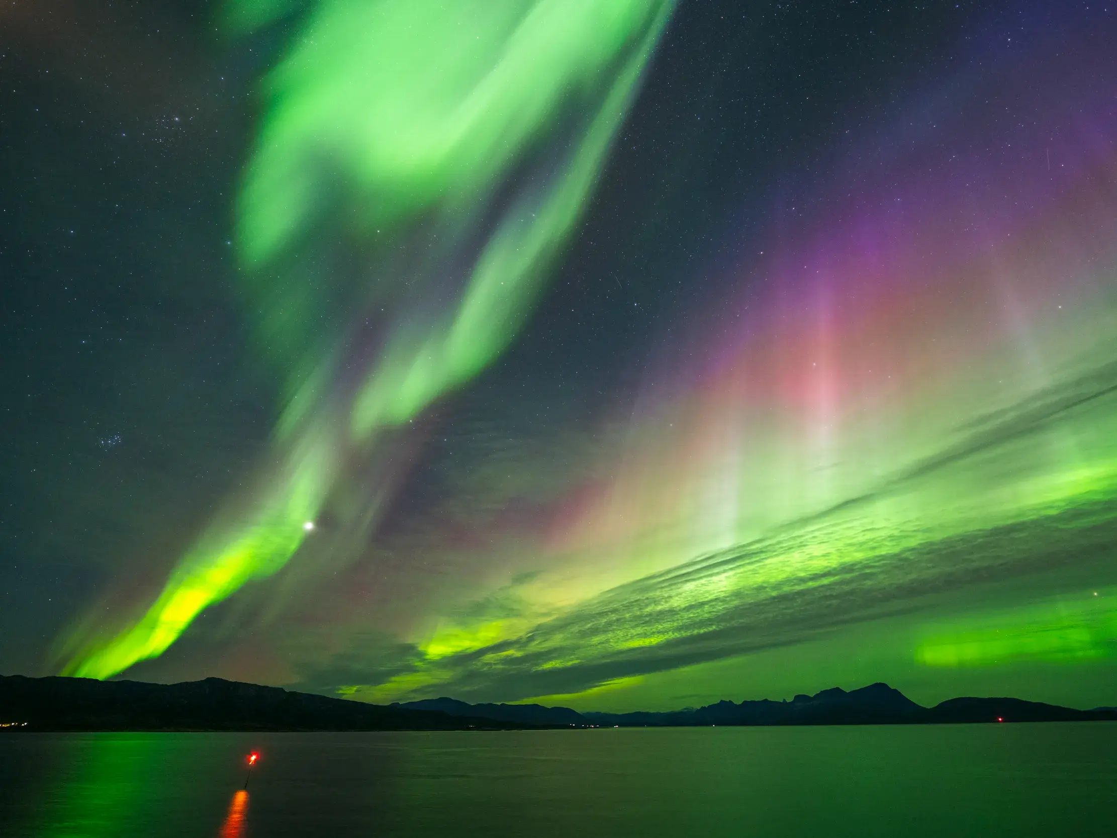 Grüne und violette Nordlichter tanzen am Sternenhimmel über der Küste Norwegens und spiegeln sich im ruhigen Wasser.