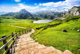 Steinstufen eines Wanderwegs führen hinab in die sattgrüne Landschaft mit Bergseen im Nationalpark Picos de Europa in Nordspanien.