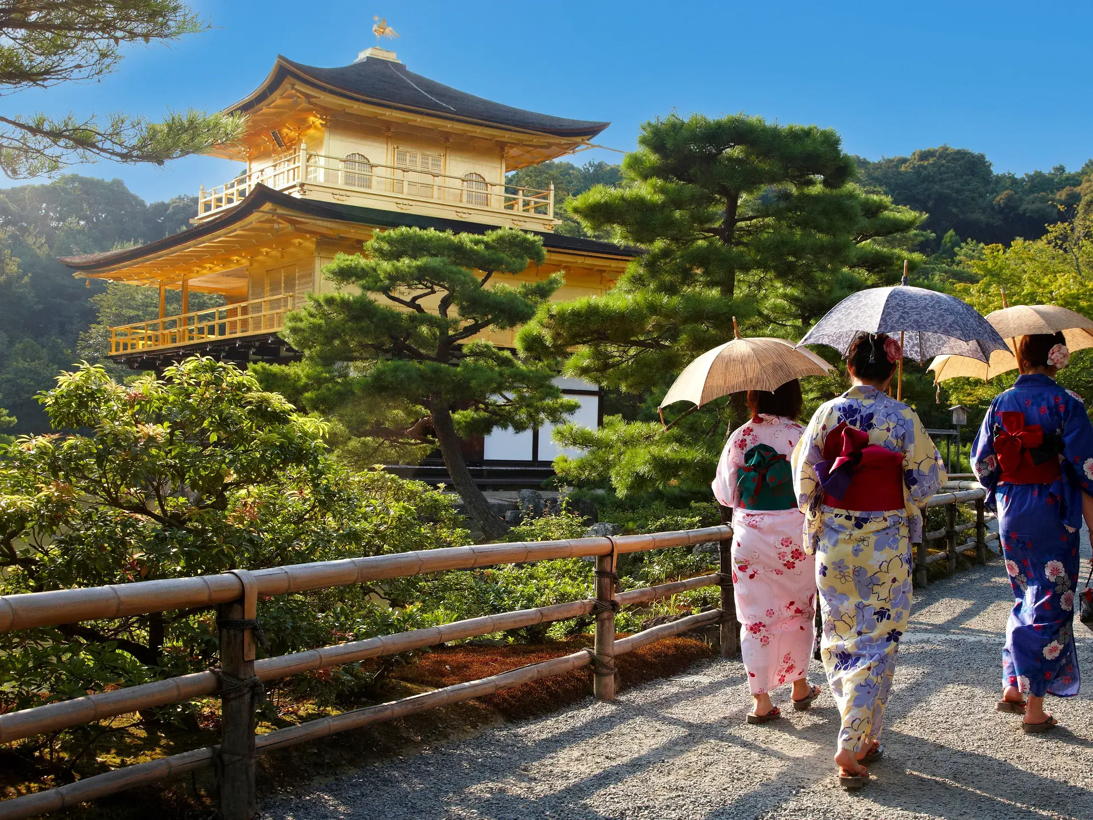 Drei Frauen in bunten Kimonos spazieren während einer Studienreise am Goldenen Pavillon Kinkaku-ji in Kyoto.