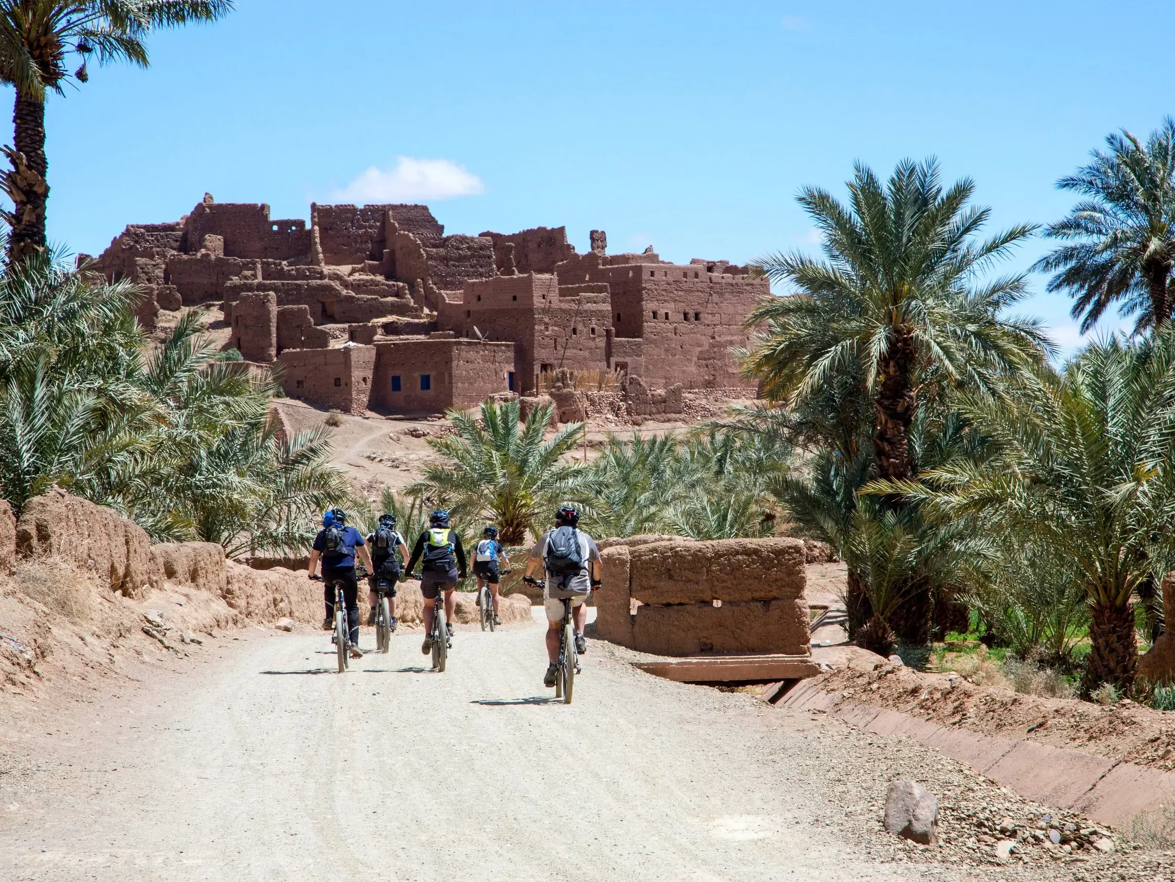 Eine Mountainbike-Gruppe radelt auf einer Piste durch eine Oase mit Palmen auf eine traditionelle Lehm-Kasbah in Marokko zu.