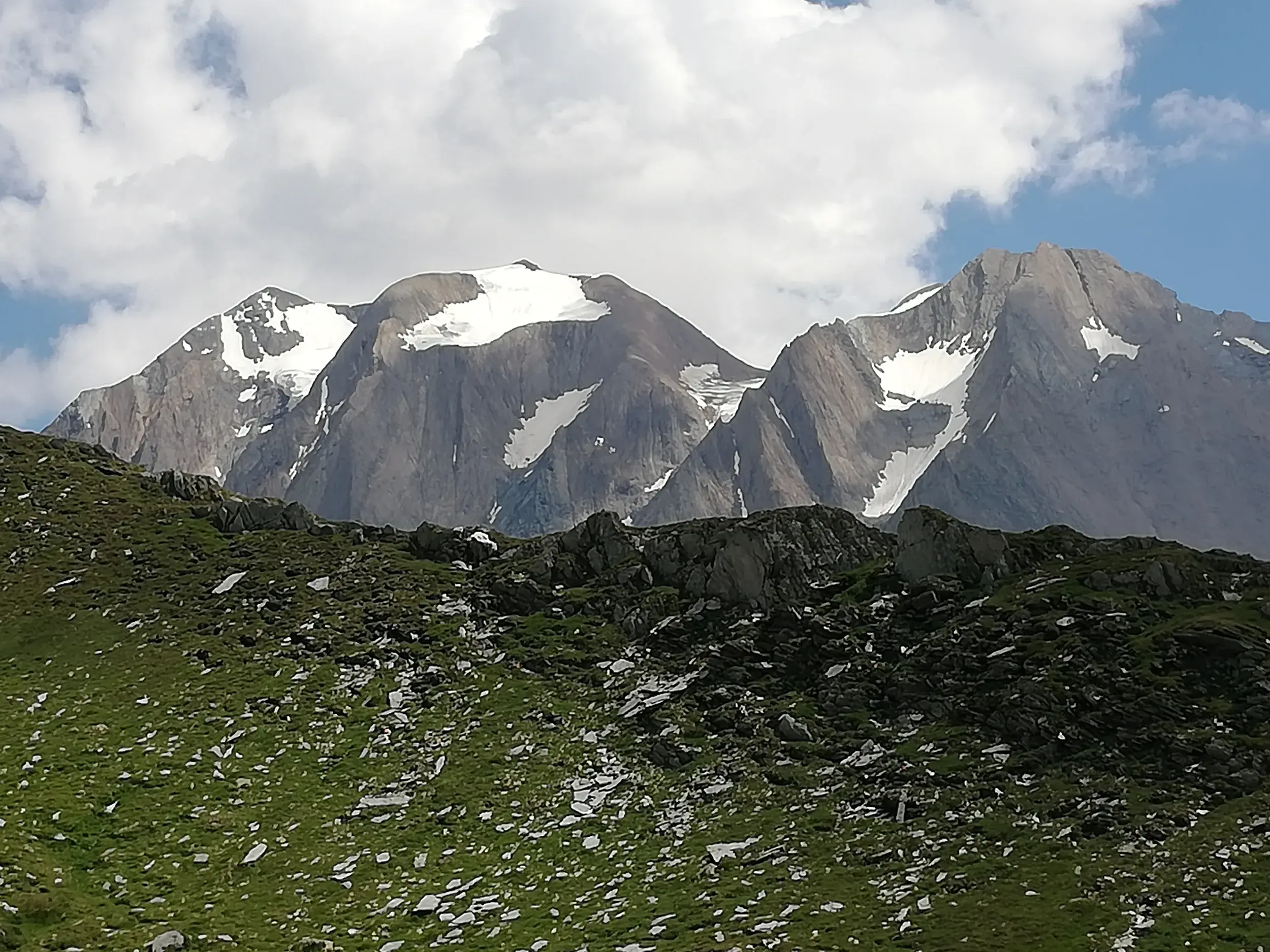 Grüne, felsige Almwiese auf der Alpenüberquerung mit Blick auf die schneebedeckten Gipfel der Zillertaler Alpen.