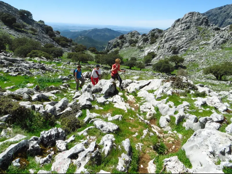 Eine Hauser-Reisegruppe wandert durch die grüne Karstlandschaft im Naturpark Sierra de Grazalema in Andalusien.