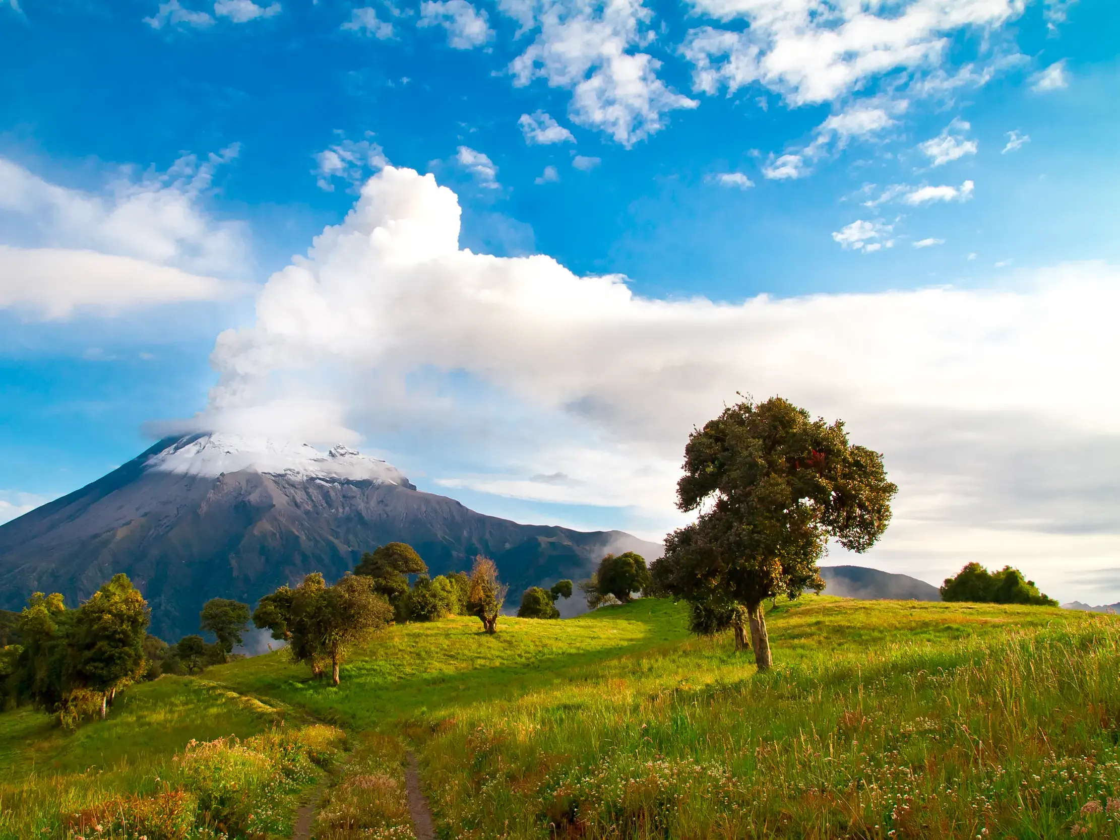 Der aktive Vulkan Tungurahua an Ecuadors Allee der Vulkane, dessen Rauchwolke über einer grünen, sonnigen Hügellandschaft aufsteigt.
