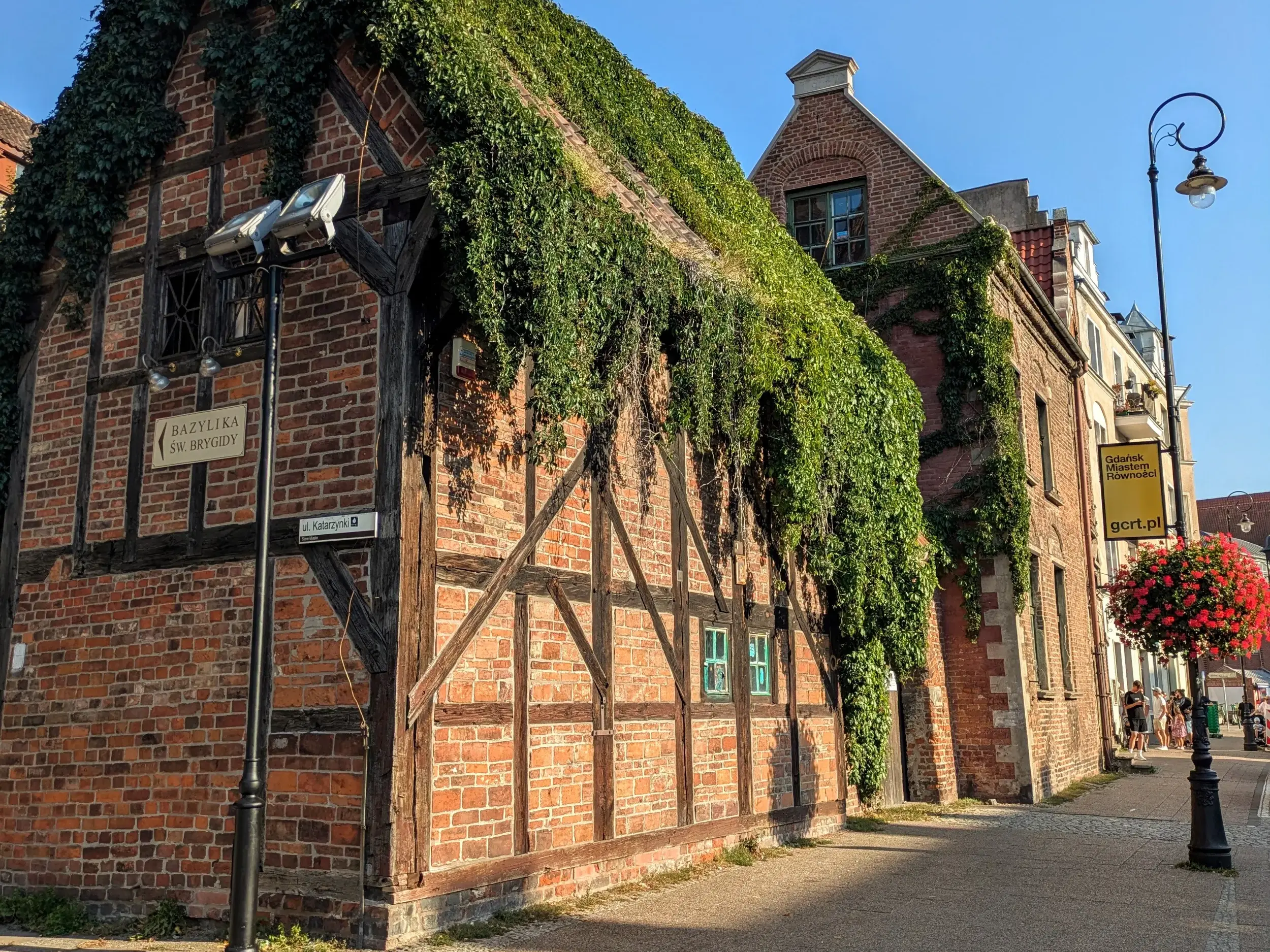 Historisches, efeubewachsenes Fachwerkhaus aus Backstein an einer Straßenecke in der sonnigen Altstadt von Danzig.