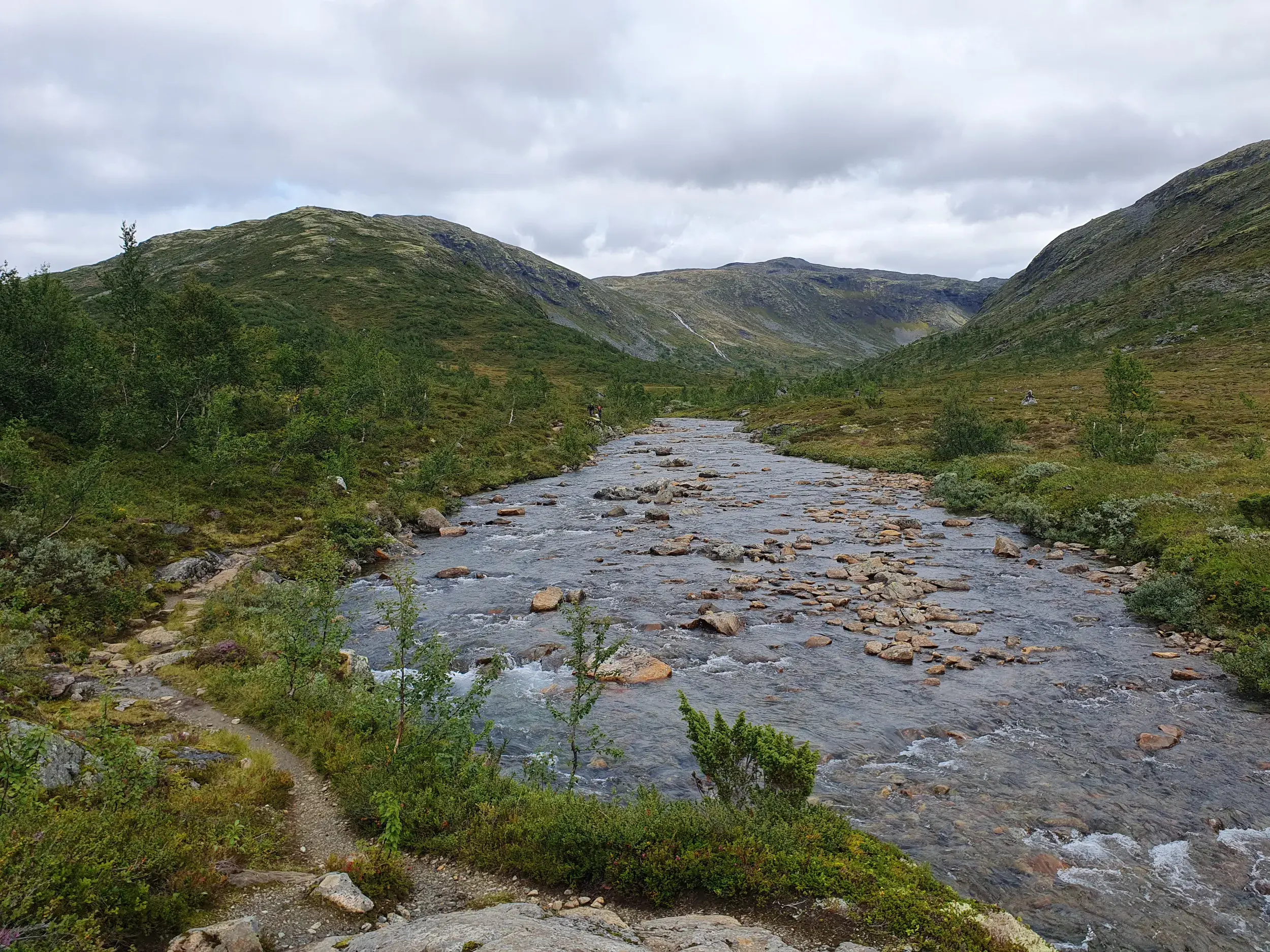 Wanderweg entlang eines klaren Gebirgsflusses durch ein weites, grünes Tal während einer Trekkingreise im Jotunheimen Nationalpark.