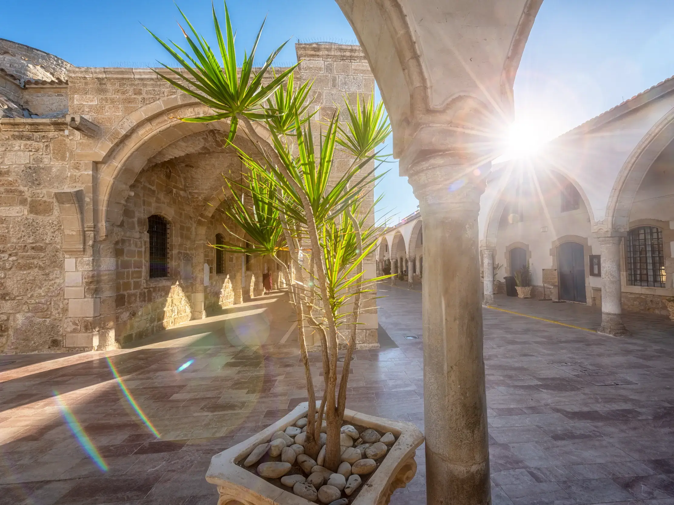 Sonniger Innenhof der historischen Karawanserei Büyük Han in Nikosia mit steinernen Arkaden und einer Yucca-Palme im Vordergrund.