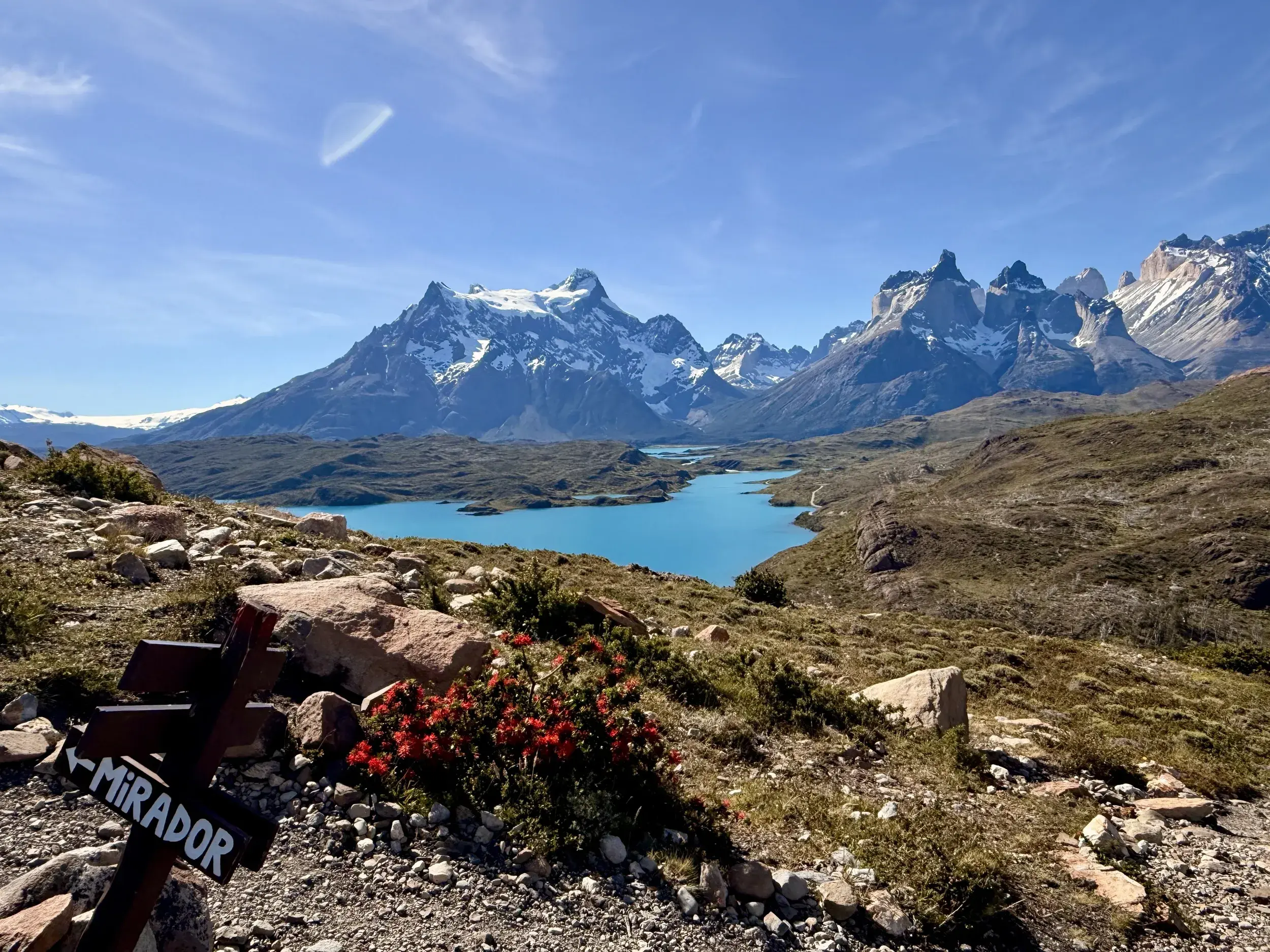 Ausblick vom Mirador Condor im Torres del Paine Nationalpark auf türkise Seen und die schneebedeckten Cuernos del Paine.