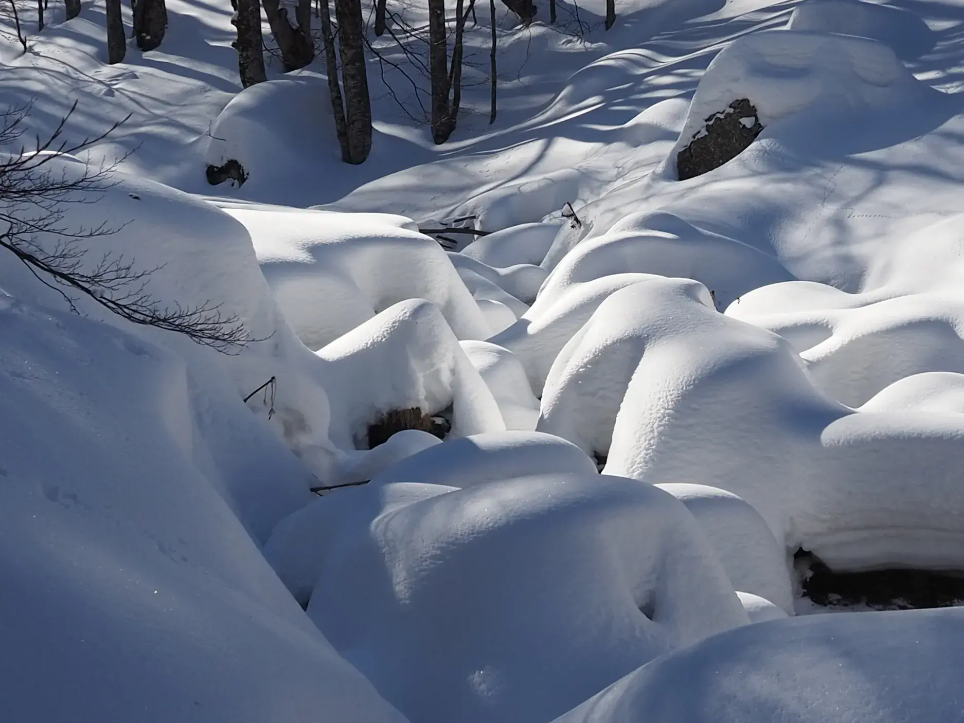 Sonnige Winterlandschaft im Balkan mit dicken Schneemassen über Felsen in einem lichten Wald während einer Hauser Skitour.