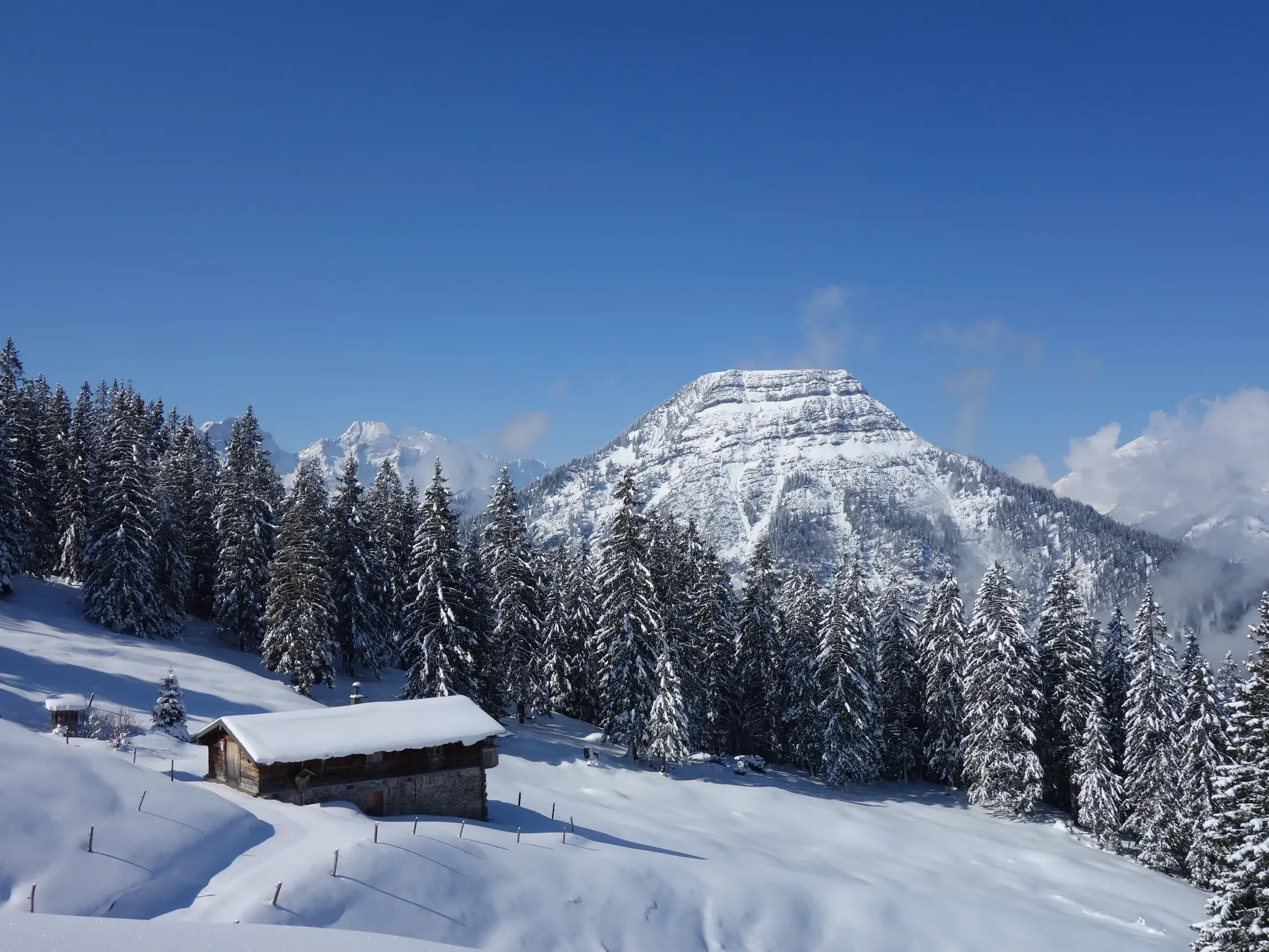 Sonnige Winterwanderung im Karwendel: Blick auf eine tief verschneite Almhütte und den markanten Gipfel des Schafreiter.
