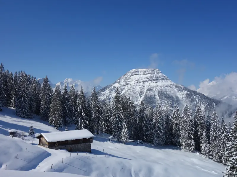 Schneebedeckte Almhütte vor einem Tannenwald und markanten Berggipfeln bei einer Schneeschuhwanderung im Karwendel.