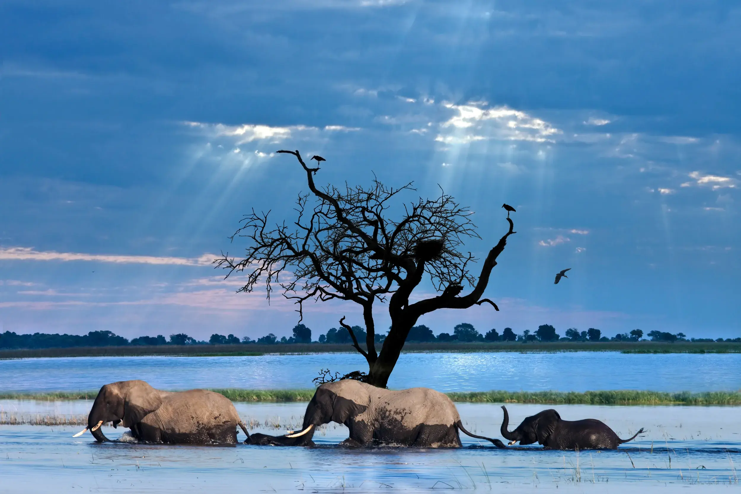Namibia – Botswana – Zimbabwe