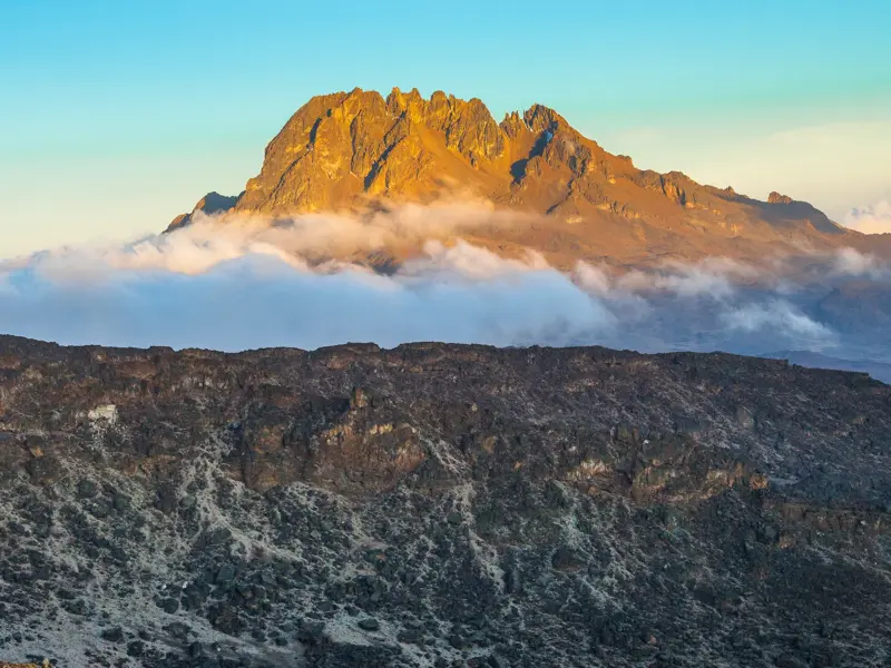 Majestätischer Mawenzi-Gipfel im goldenen Licht des Sonnenaufgangs über einem Wolkenmeer beim Kilimanjaro-Trekking in Tansania.