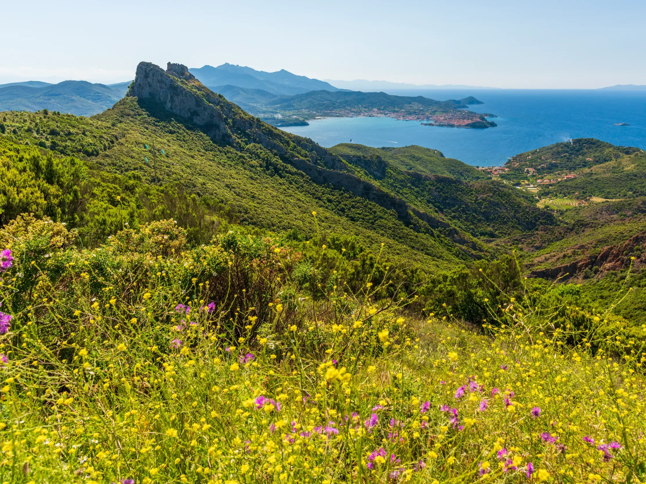 Trekking auf dem GTE: Panoramablick von einer Blumenwiese auf Elbas grüne Berge und die Bucht von Portoferraio.