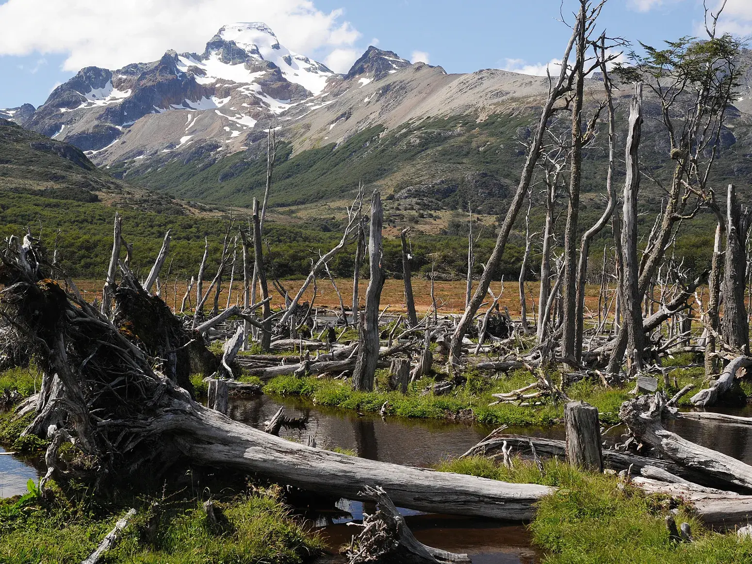 Wilde Landschaft in Feuerland vor einem schneebedeckten Bergmassiv der Anden bei Ushuaia.