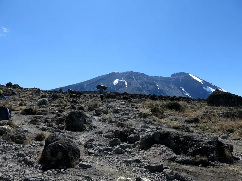 Eine Trekkinggruppe und Träger wandern durch die karge Steinwüste am Kilimanjaro mit Blick auf den schneebedeckten Gipfel.