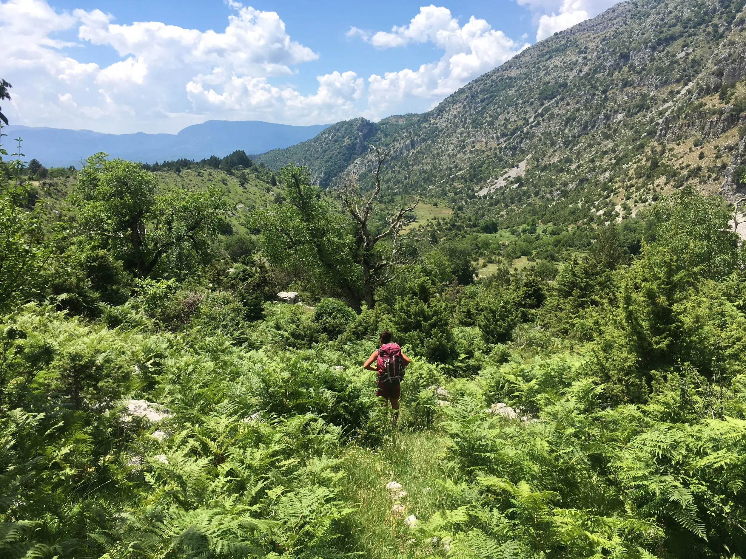 Wanderer mit Rucksack auf einem schmalen Pfad durch hohe, grüne Farne in der wilden Berglandschaft der Zagori-Region, Griechenland.