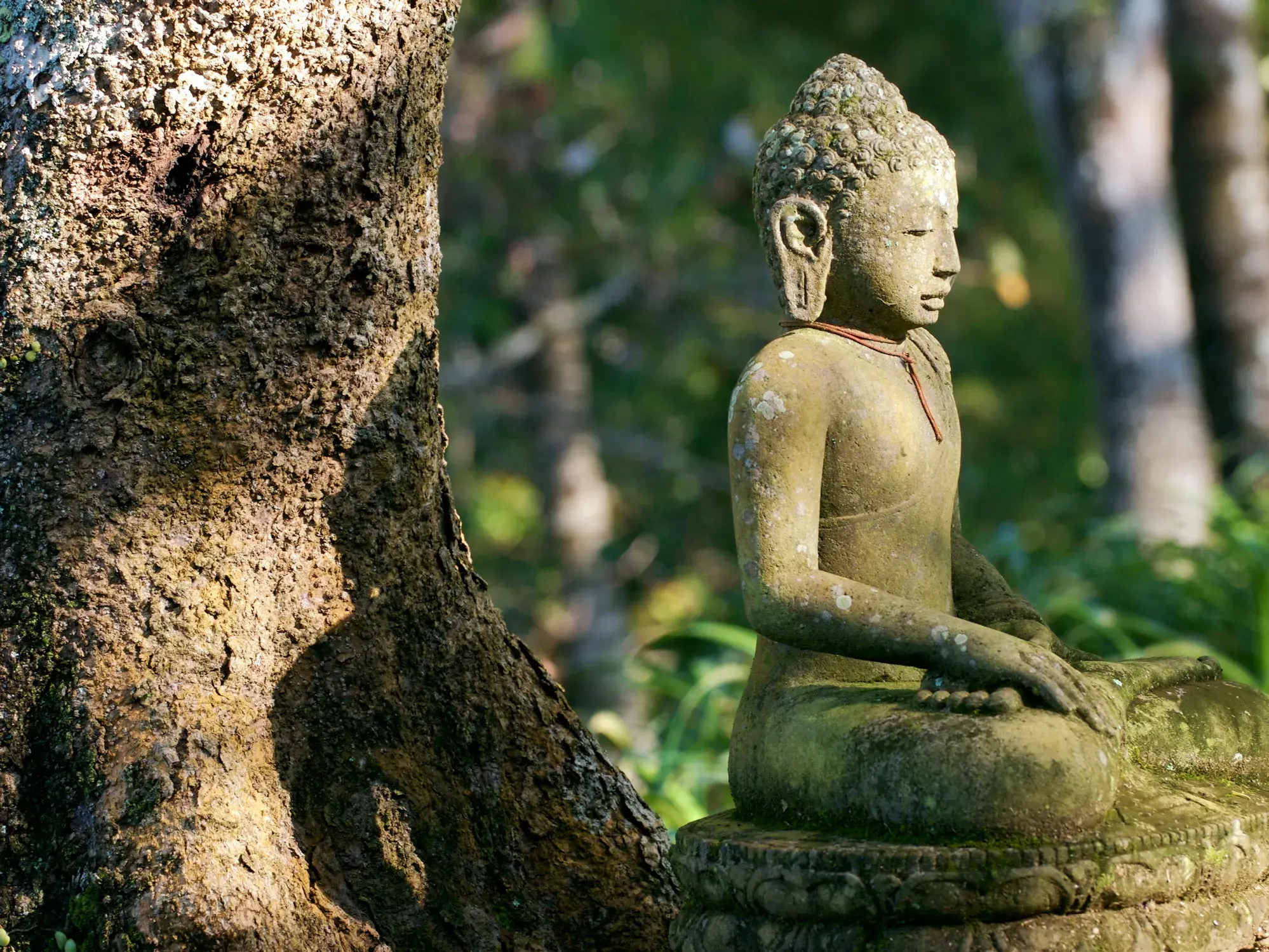 Verwitterte Buddha-Statue aus Stein meditiert im Lotussitz in einem ruhigen, tropischen Tempelgarten auf Bali.