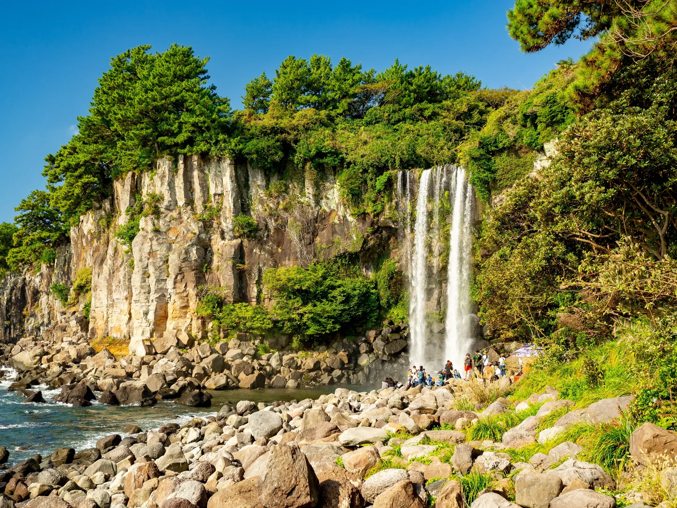 Der Jeongbang-Wasserfall auf der südkoreanischen Insel Jeju stürzt von einer bewaldeten Klippe auf einen Felsstrand.