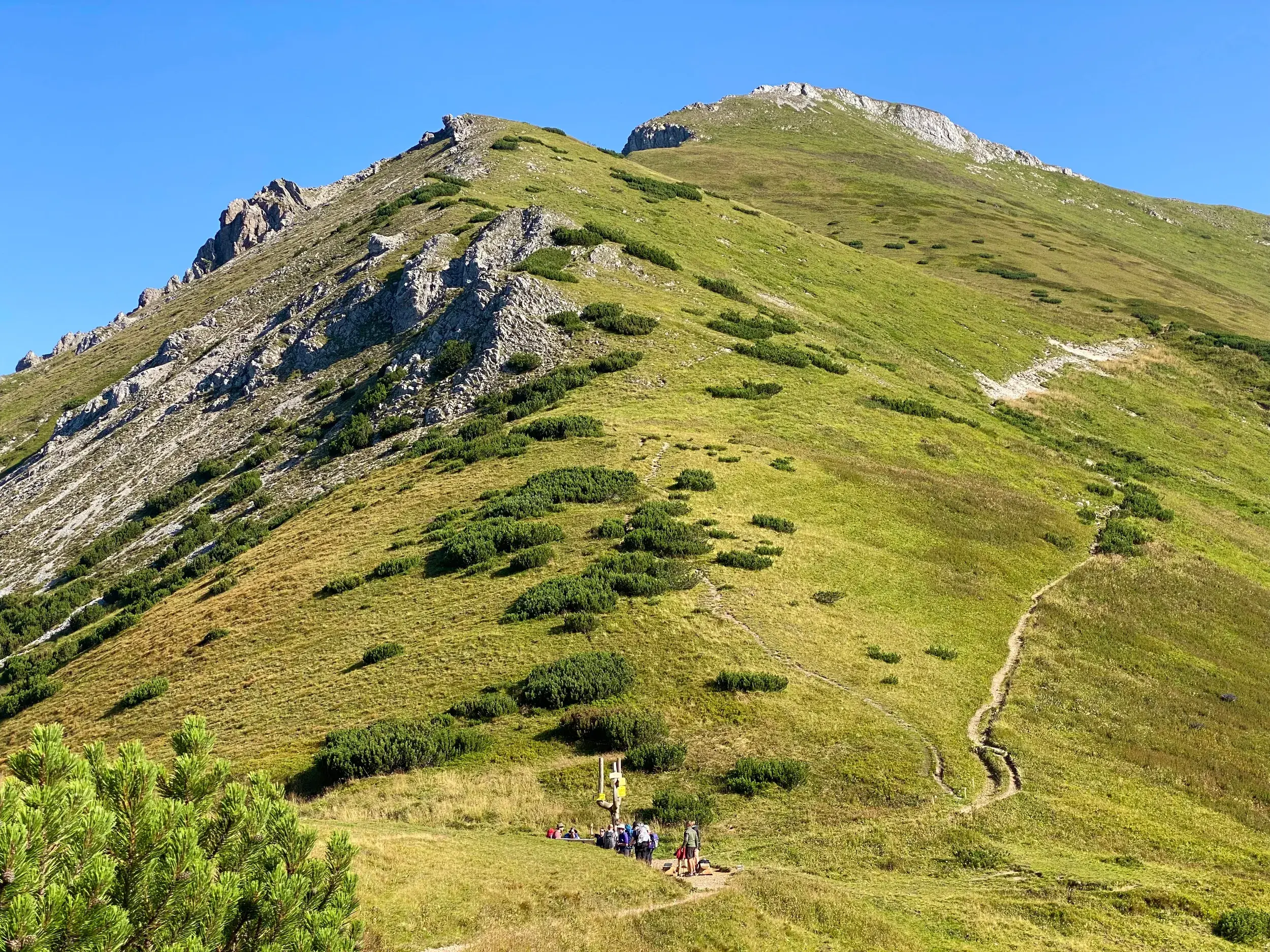 Wanderer auf einem Pfad über eine Almwiese zum felsigen Gipfel des Gęsia Szyja in der Hohen Tatra bei sonnigem Wetter.