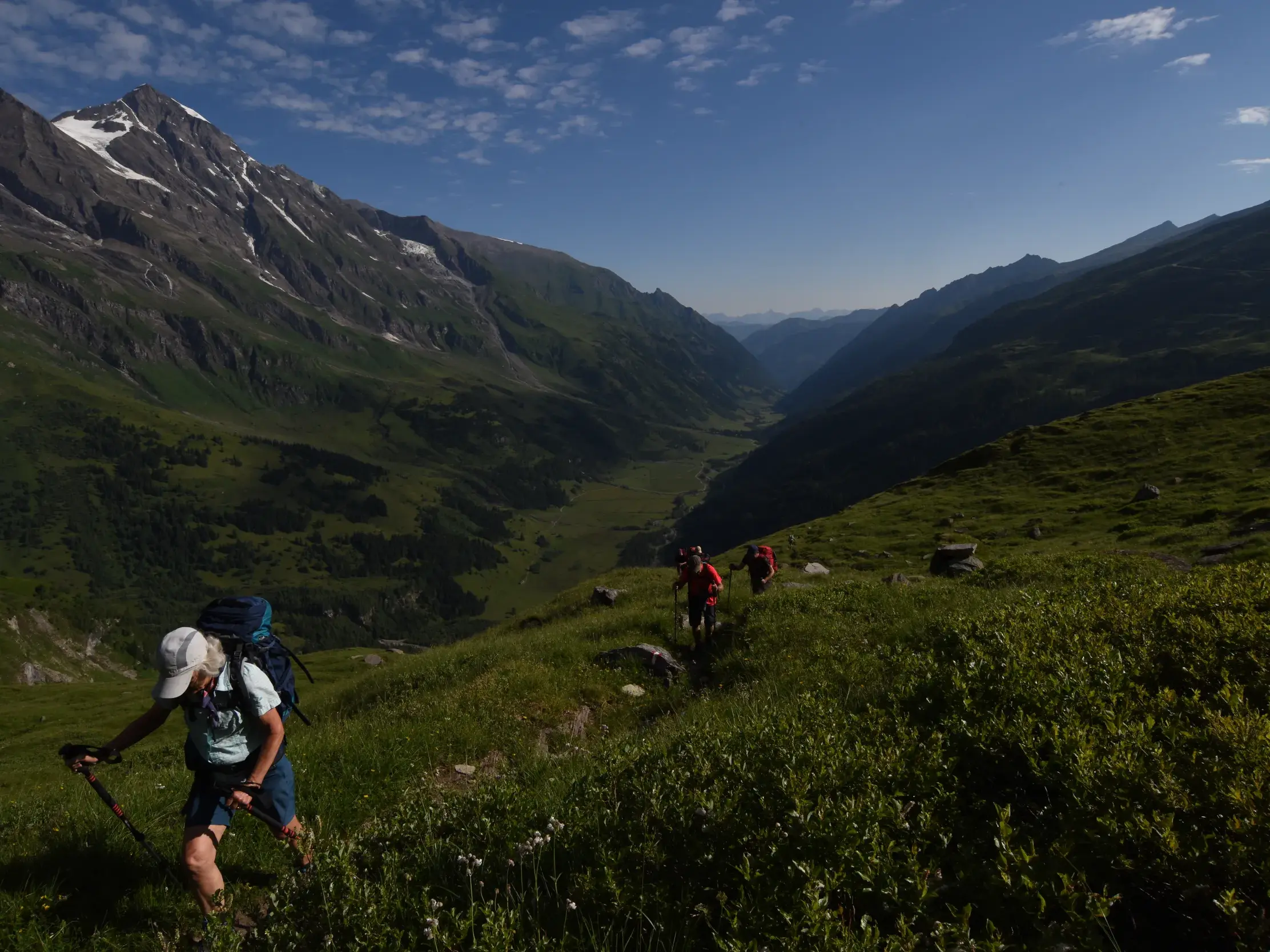Wandergruppe bei der Alpenüberquerung auf einem Wiesenhang im Nationalpark Hohe Tauern mit Blick auf den Großglockner.