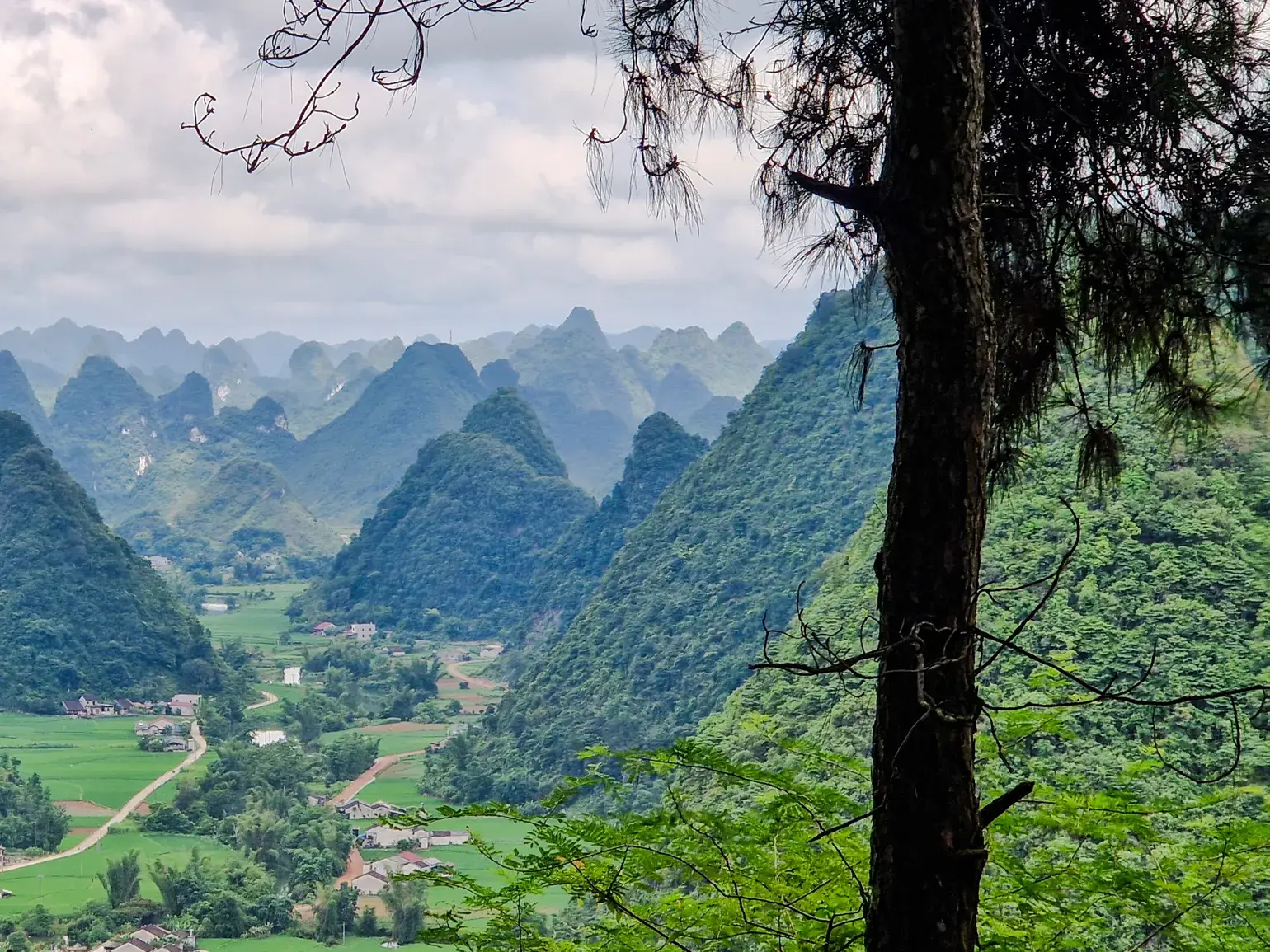 Weitblick beim Trekking über ein grünes Tal mit Reisfeldern und Dörfern in der kegelförmigen Karstlandschaft von Cao Bang, Vietnam.