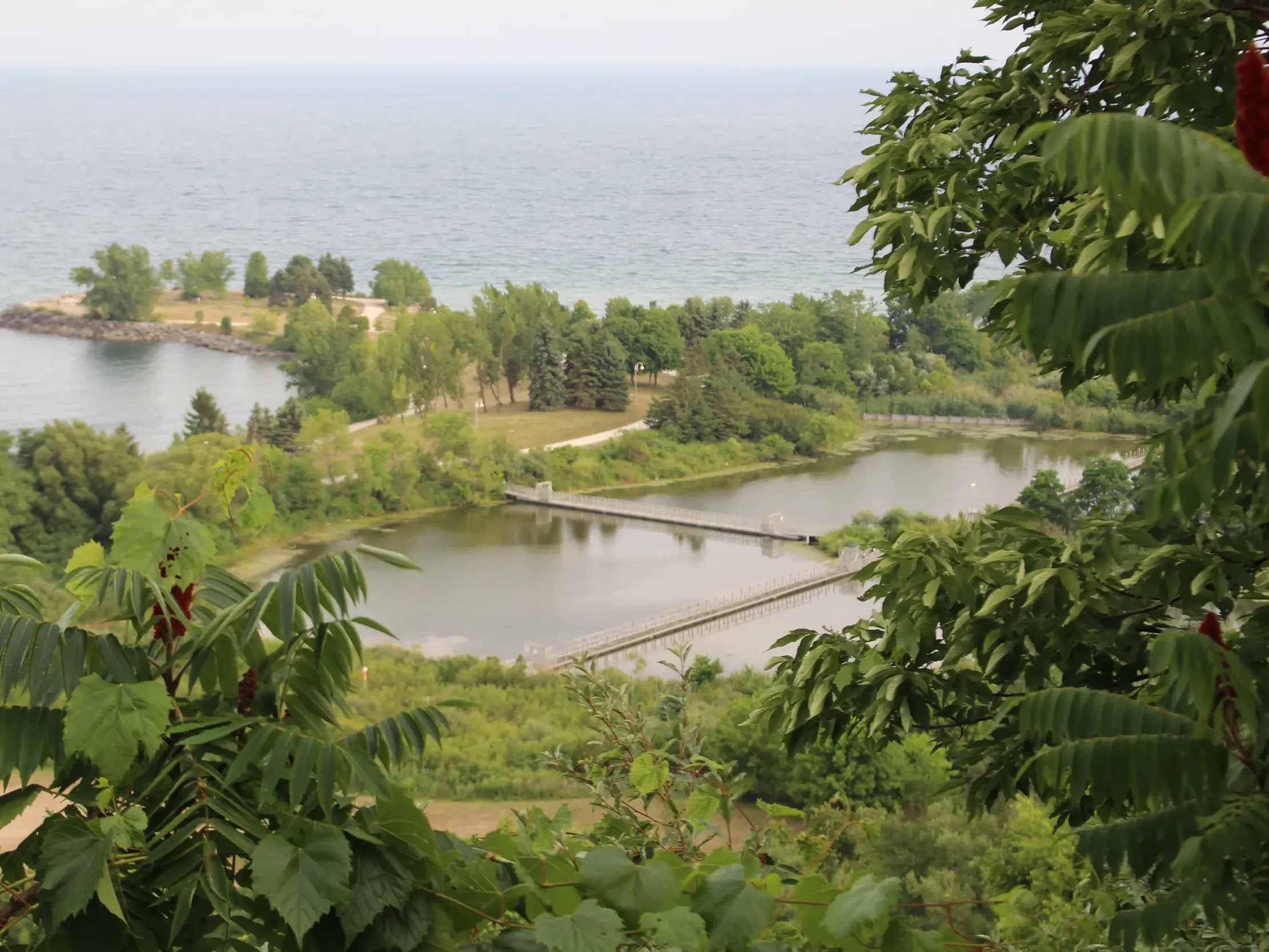 Ausblick von den Scarborough Cliffs in Toronto auf eine grüne Halbinsel und einen Steg am Ufer des weiten Ontario-Sees.