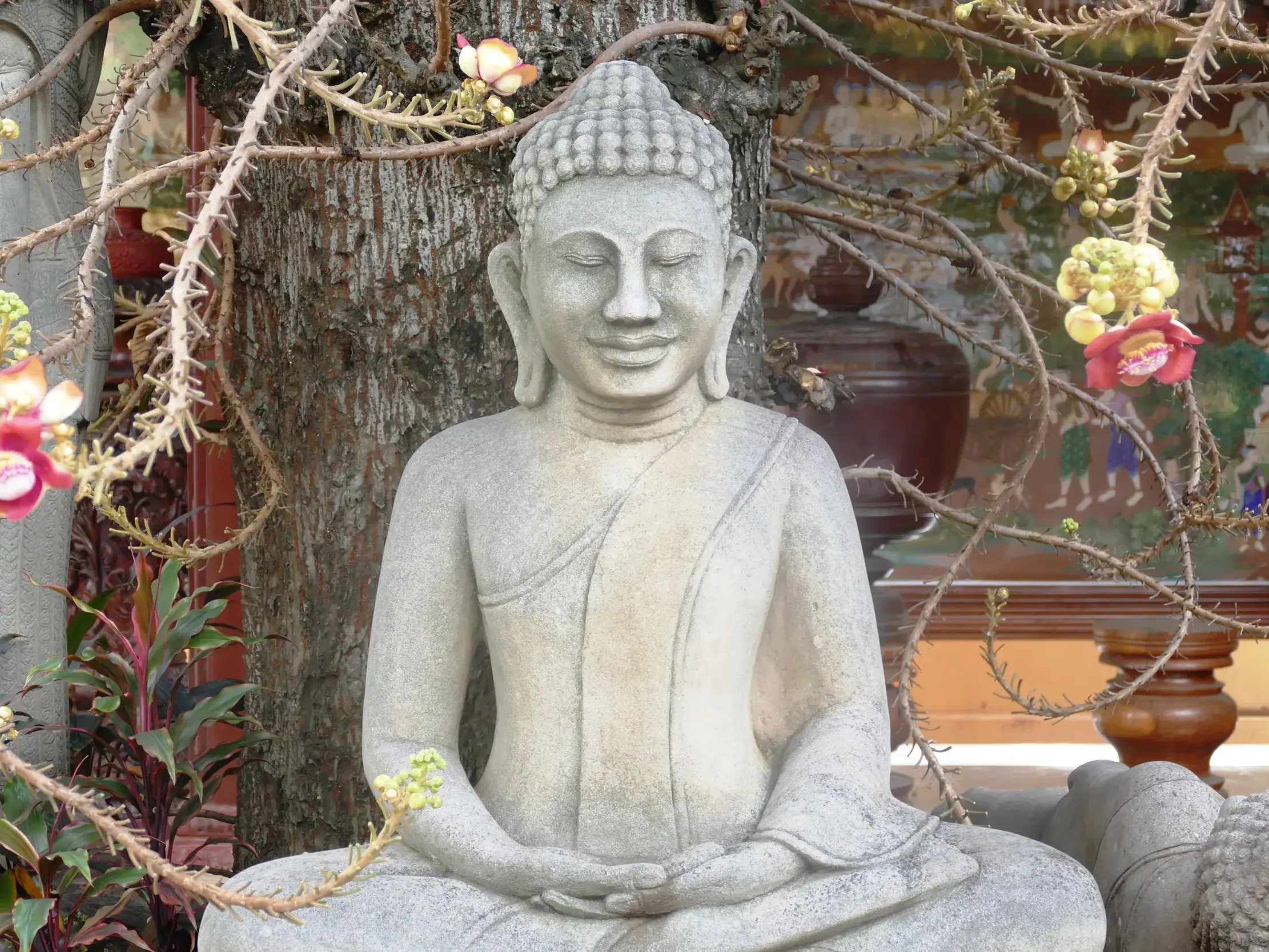 Lächelnde Buddha-Statue aus Stein im Lotussitz unter einem blühenden Salbaum in einem Tempelgarten in Kambodscha.