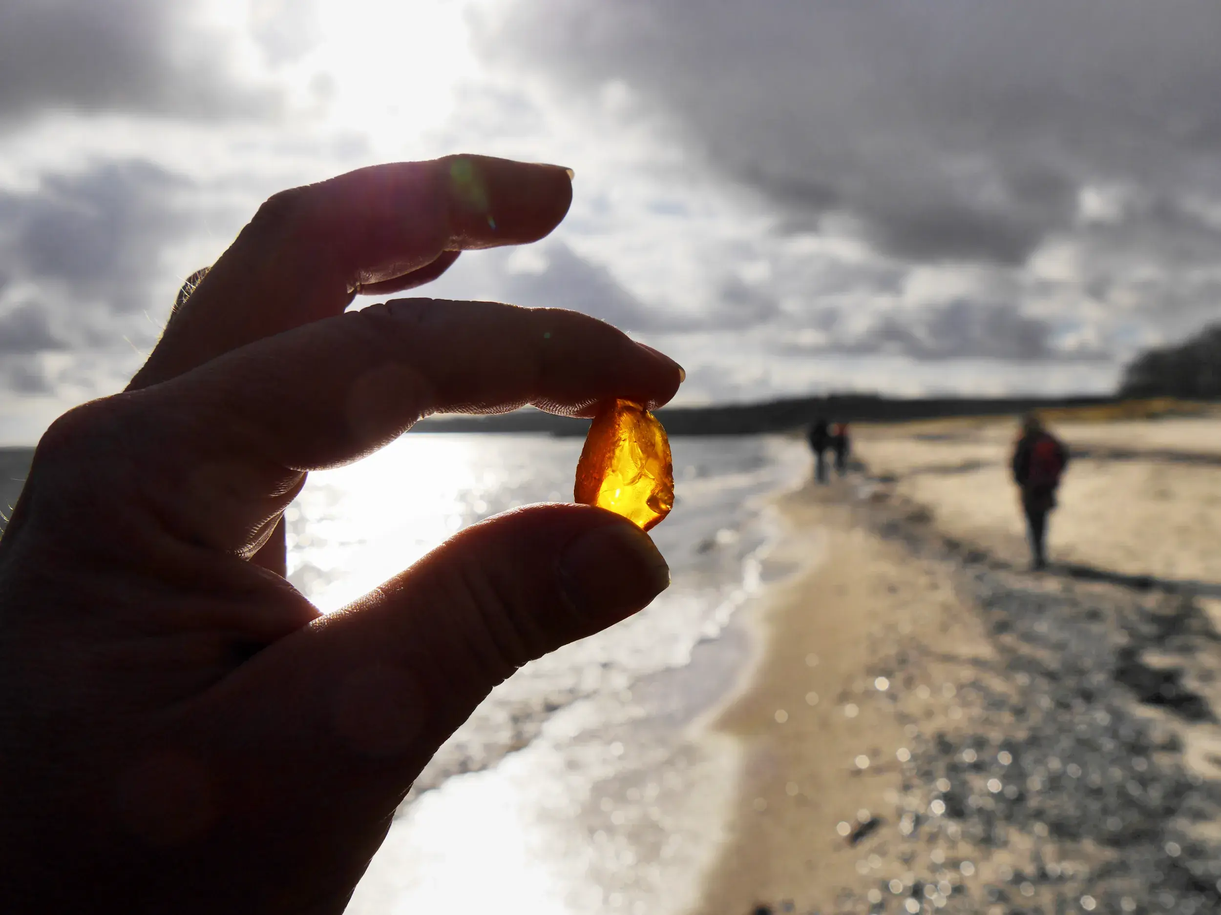 Hand hält ein leuchtendes Stück Bernstein, das Gold der Ostsee, an einem Strand der Kurischen Nehrung gegen die Sonne.