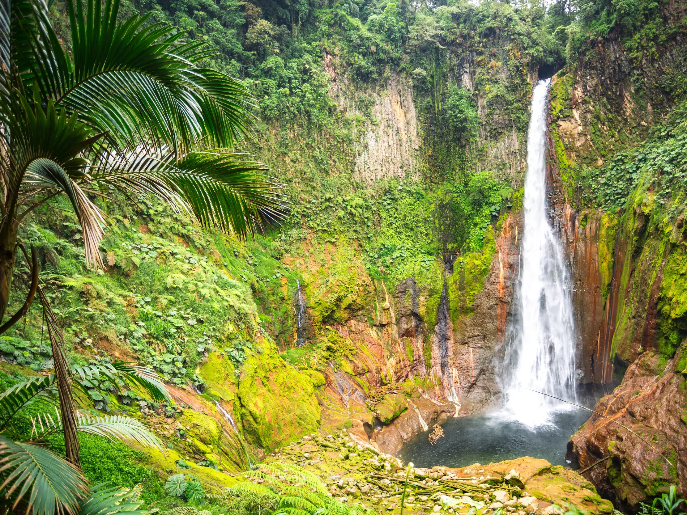Der spektakuläre Catarata del Toro Wasserfall in Costa Rica stürzt in einen von üppigem Dschungel umgebenen Vulkankrater.